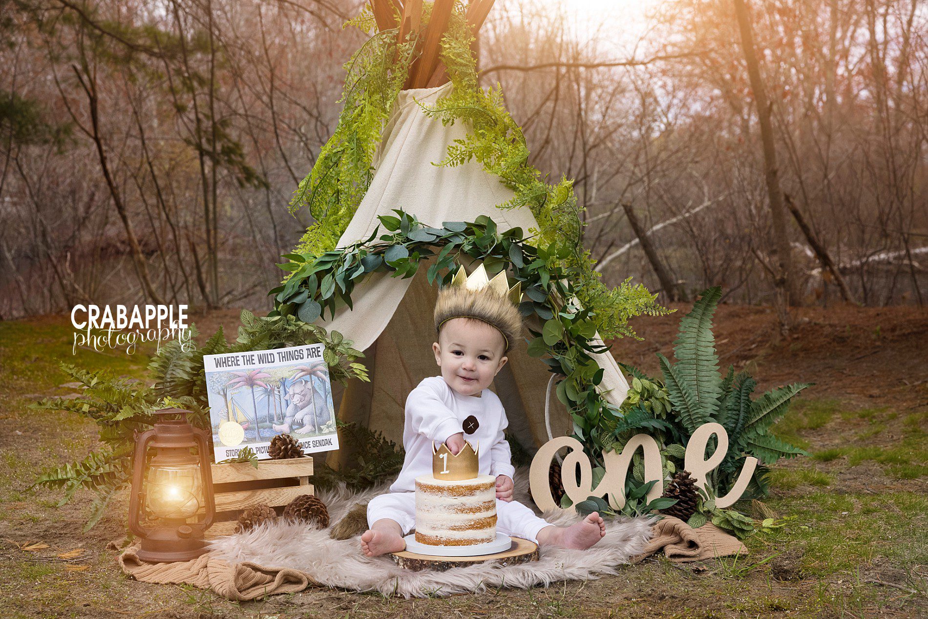 1 year old where the wild things are portraits outdoors