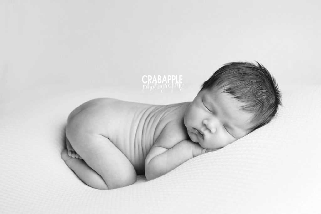lexington newborn photos