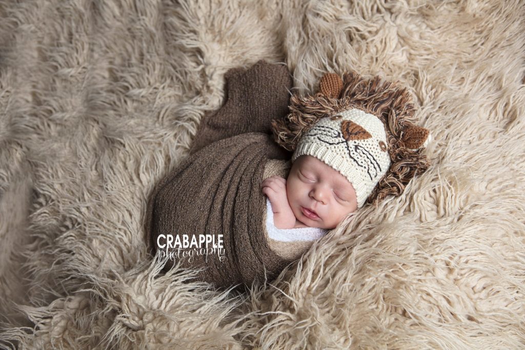 lion themed newborn photos