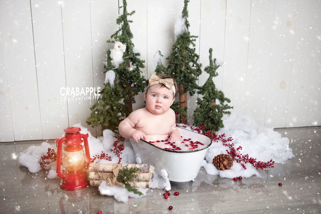 christmas milk bath photography