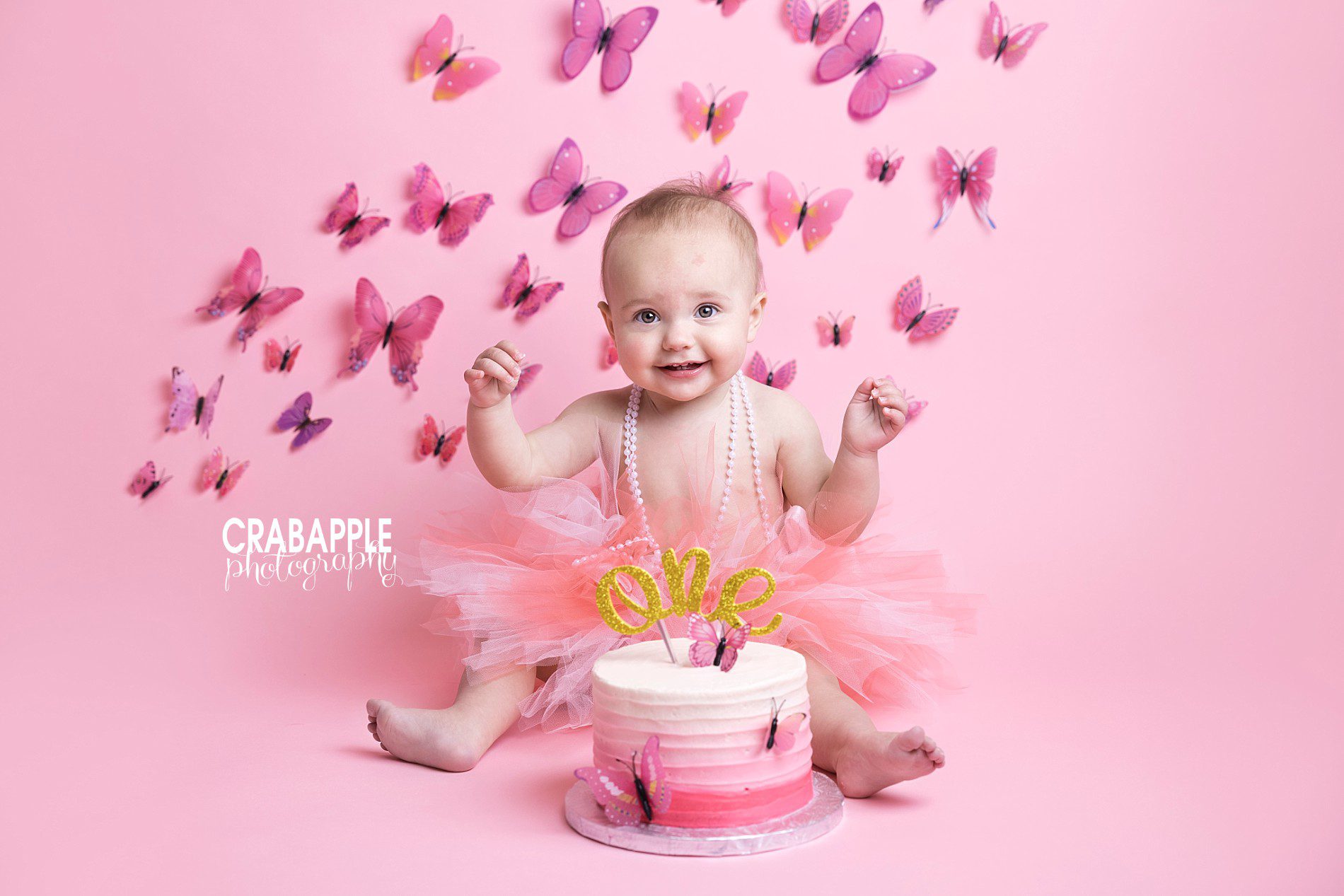 pink butterfly cake smash