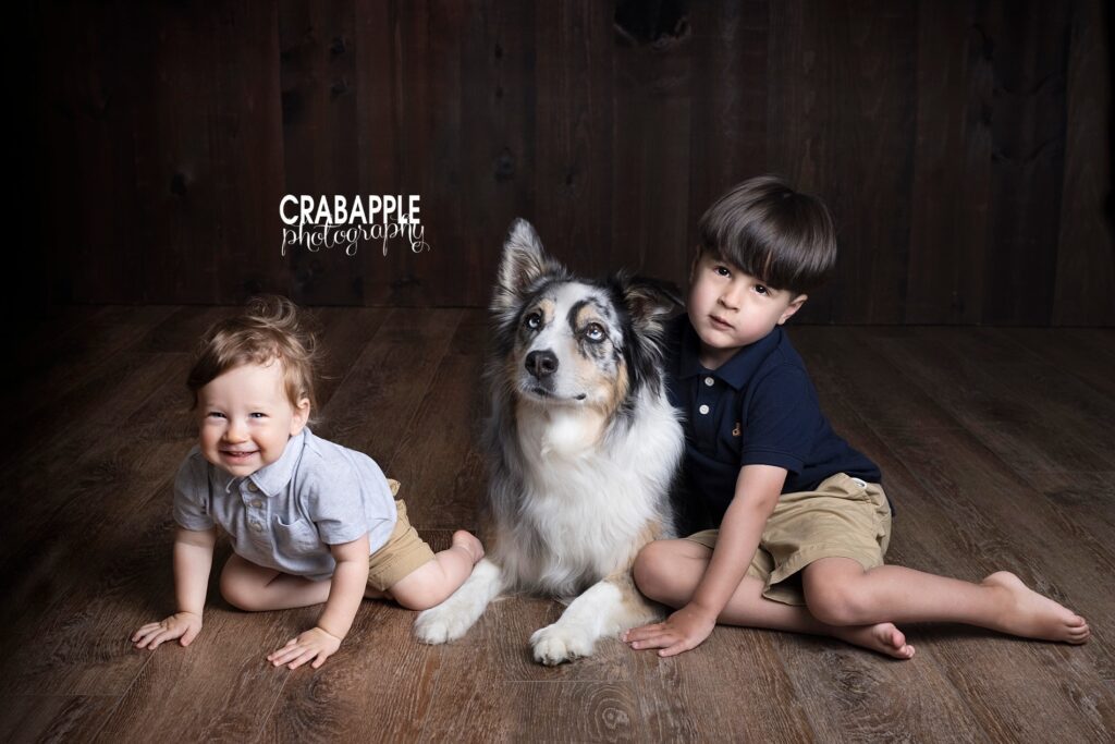north andover baby photos with dog