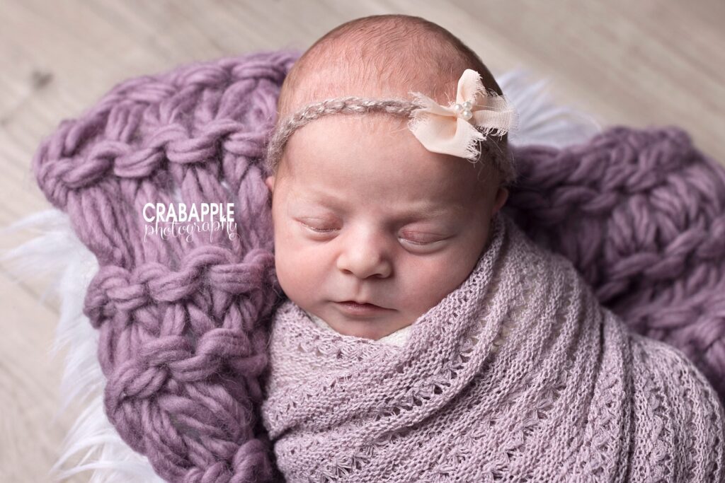 purple newborn portraits