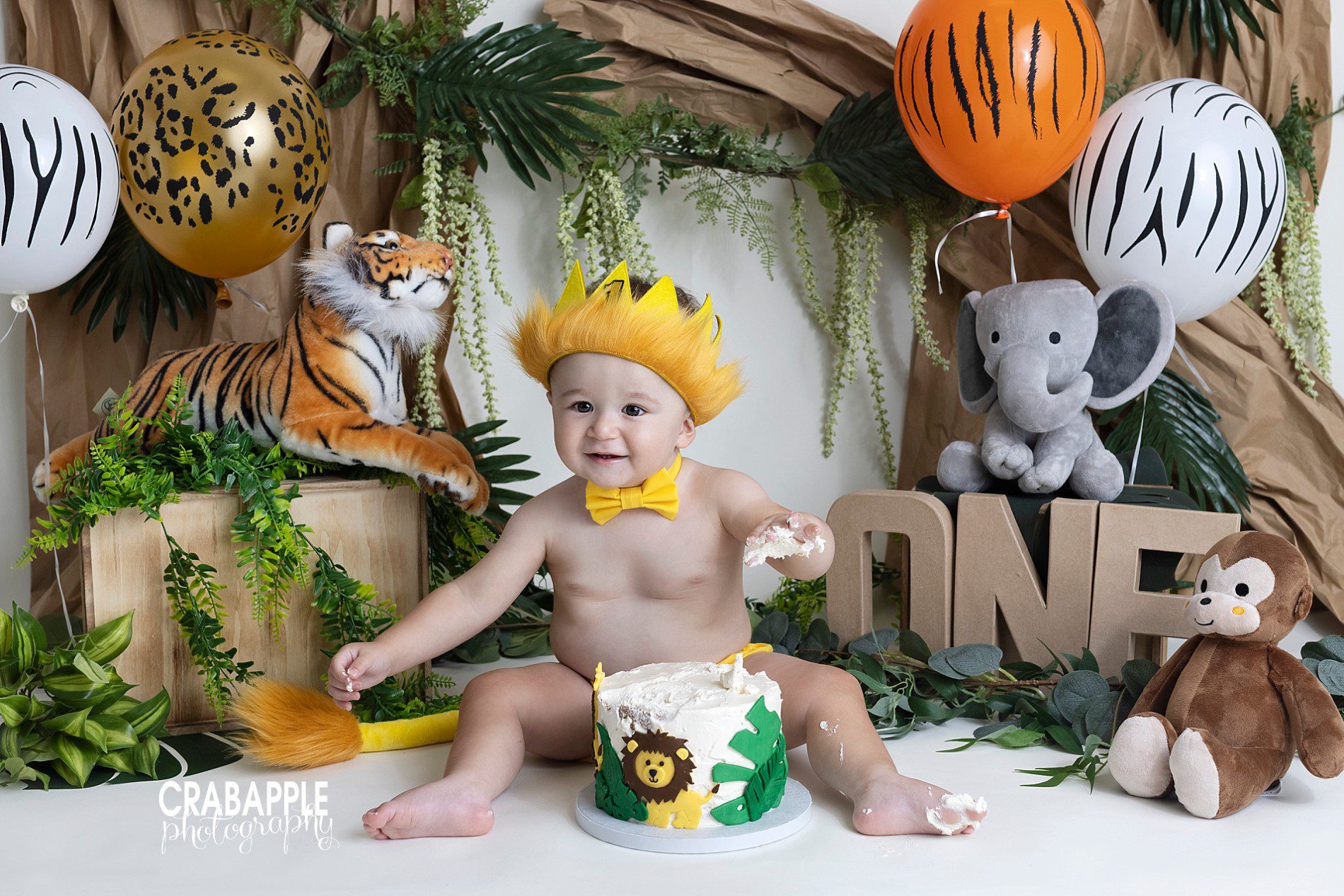 safari king of the jungle cake smash photos