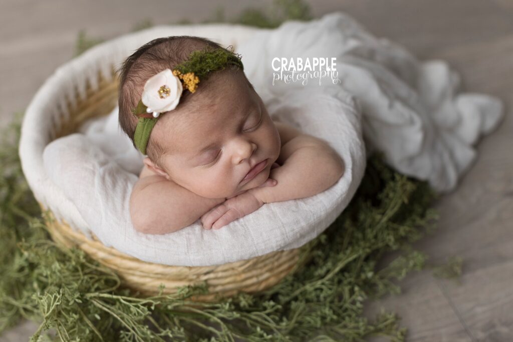 greenery newborn photos