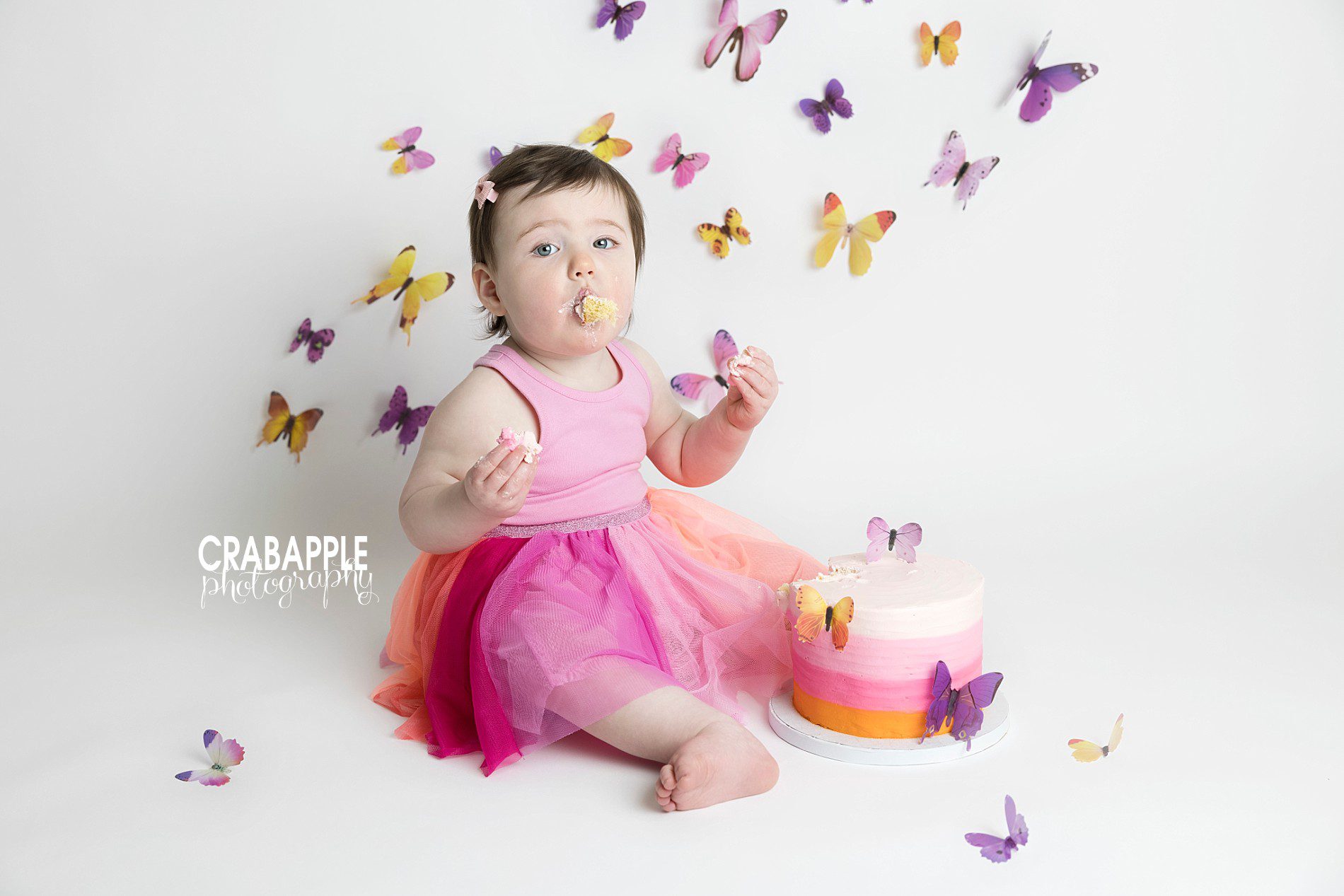 purple and orange and pink butterfly cake smash