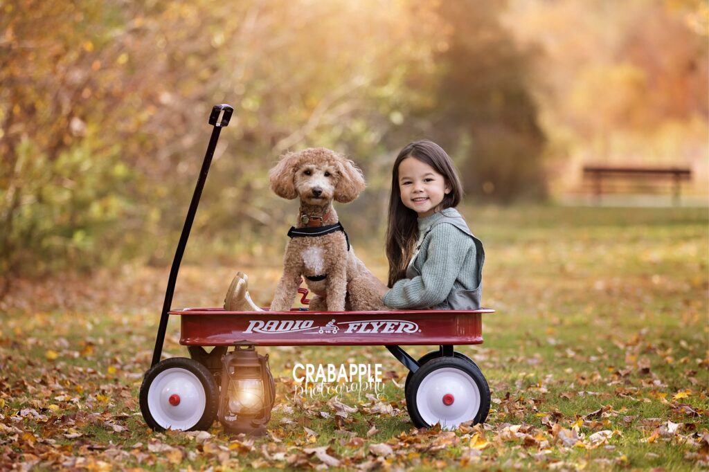 Outdoor child portrait of a 6 year old girl sitting in a red Radio Flyer wagon with her puppy. Autumn leaves are scattered on the ground.
