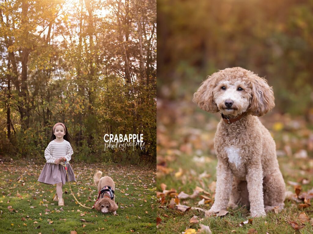 A collage of two vertical portraits. On the left is a 6 year old girl outside during fall walking her puppy. On the right is a portrait of the puppy.