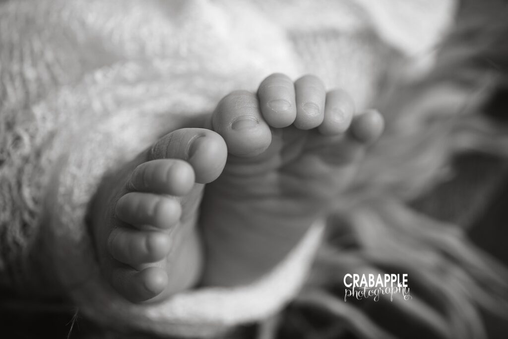cambridge newborn portraits
