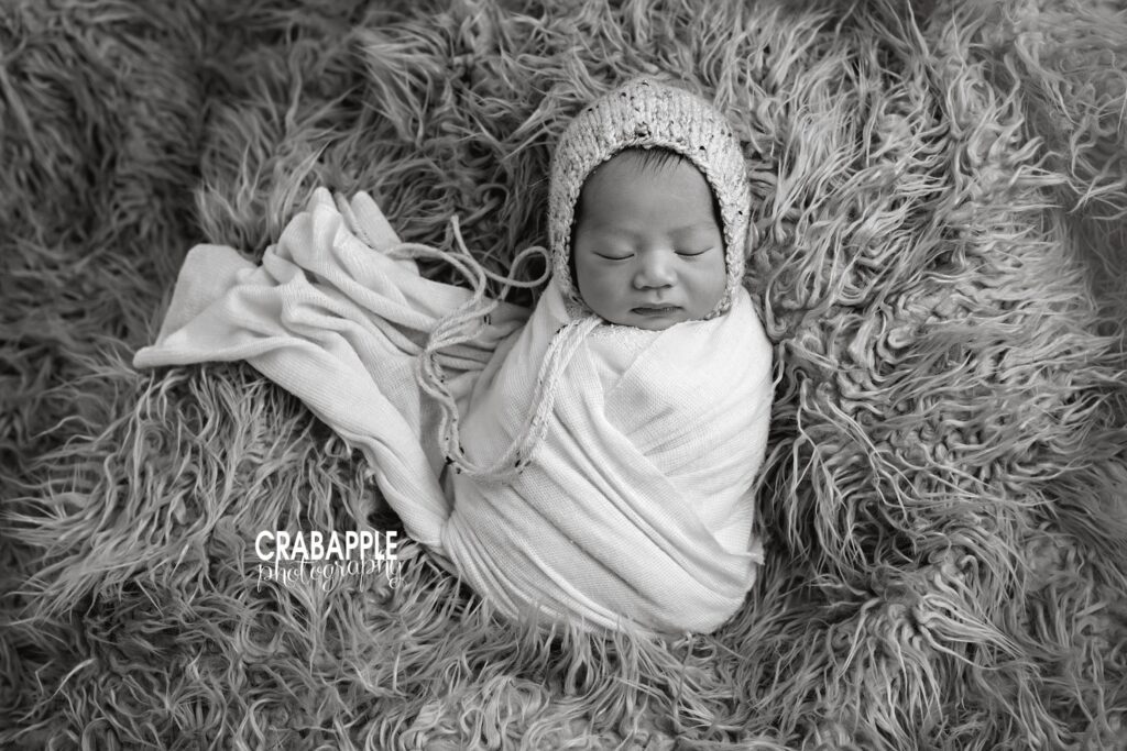 Melrose Newborn photography