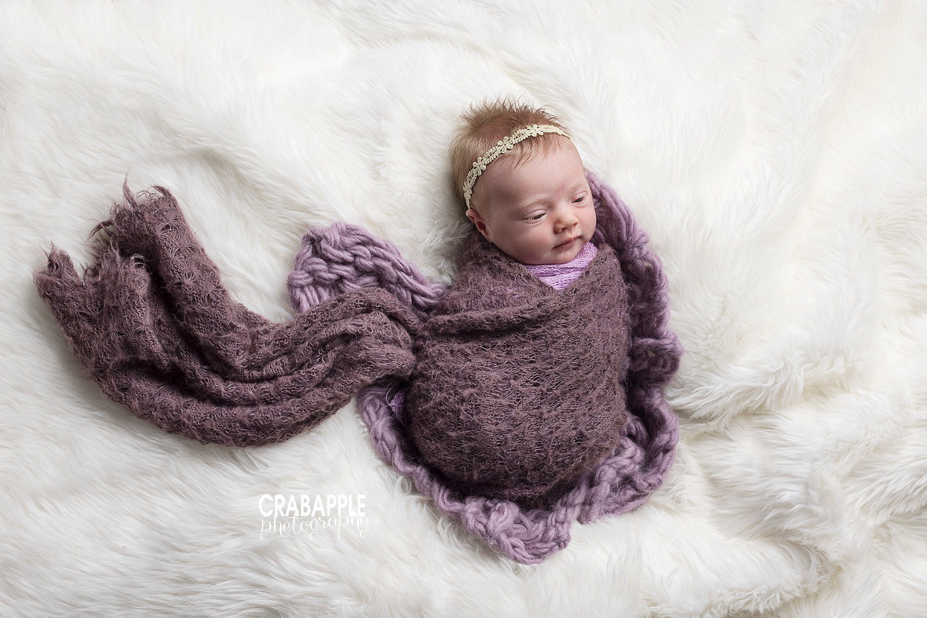 Purple and white newborn photos for baby girls