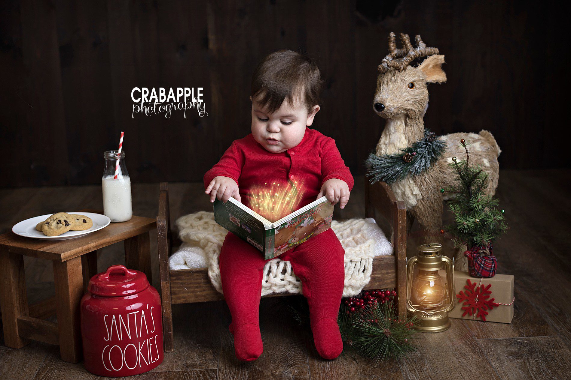 Christmas themed baby portrait with a reindeer, tiny Christmas tree, and Santa's cookies cookie jar.