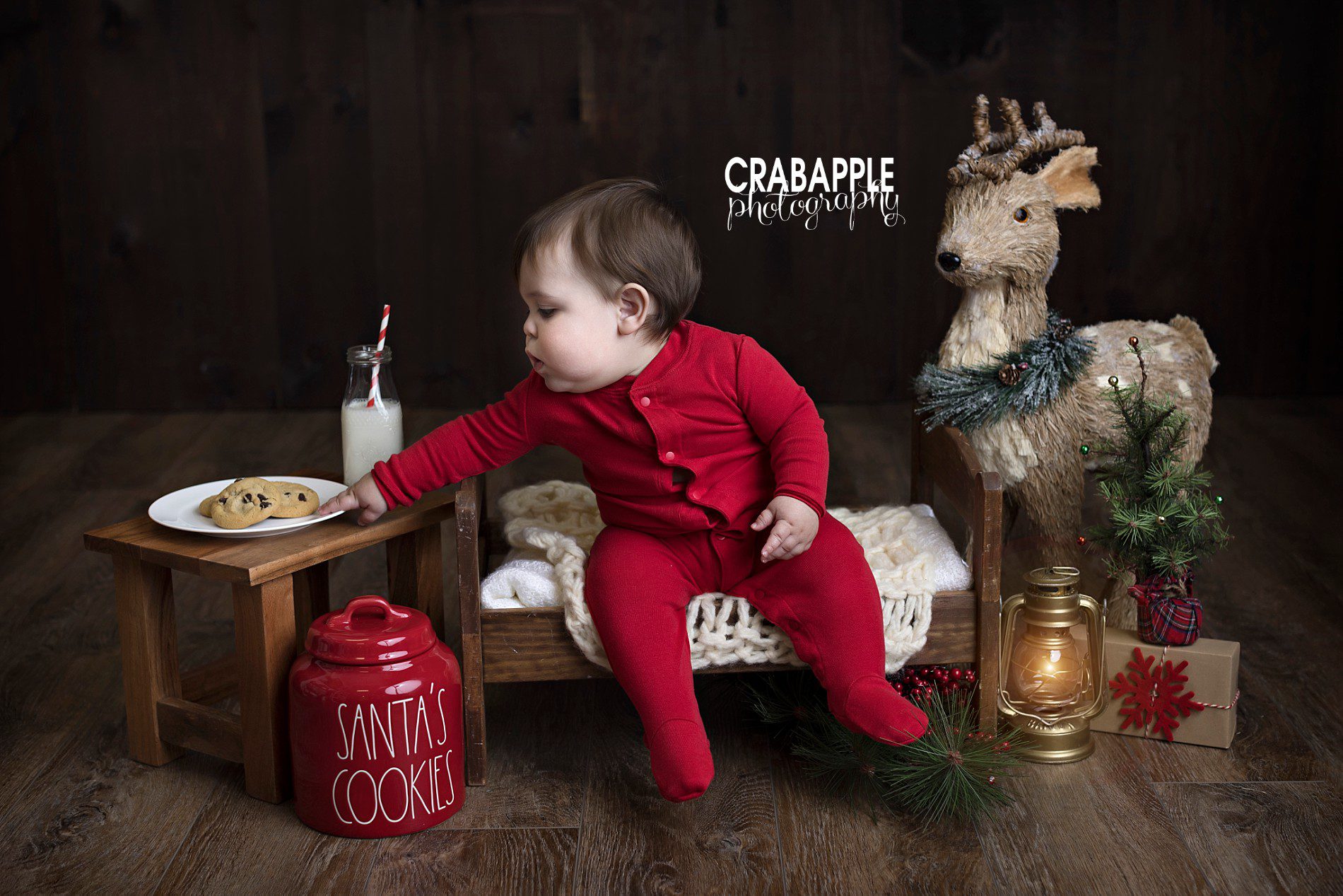Christmas themed baby photos using a cookie jar that says "Santa's Cookies", milk, cookies, and other small props.