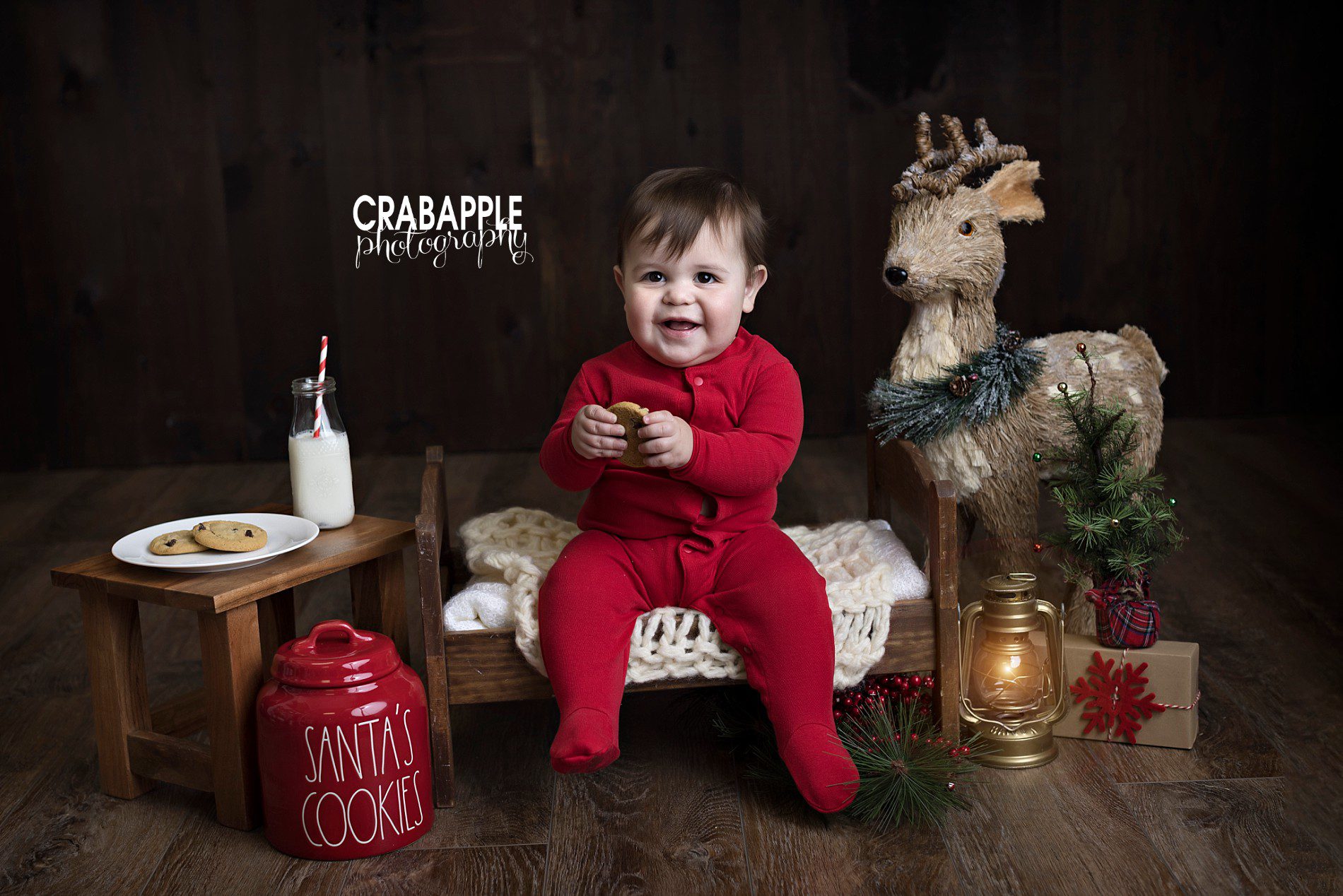 Santa's Cookies themed baby portraits using props and accessories.