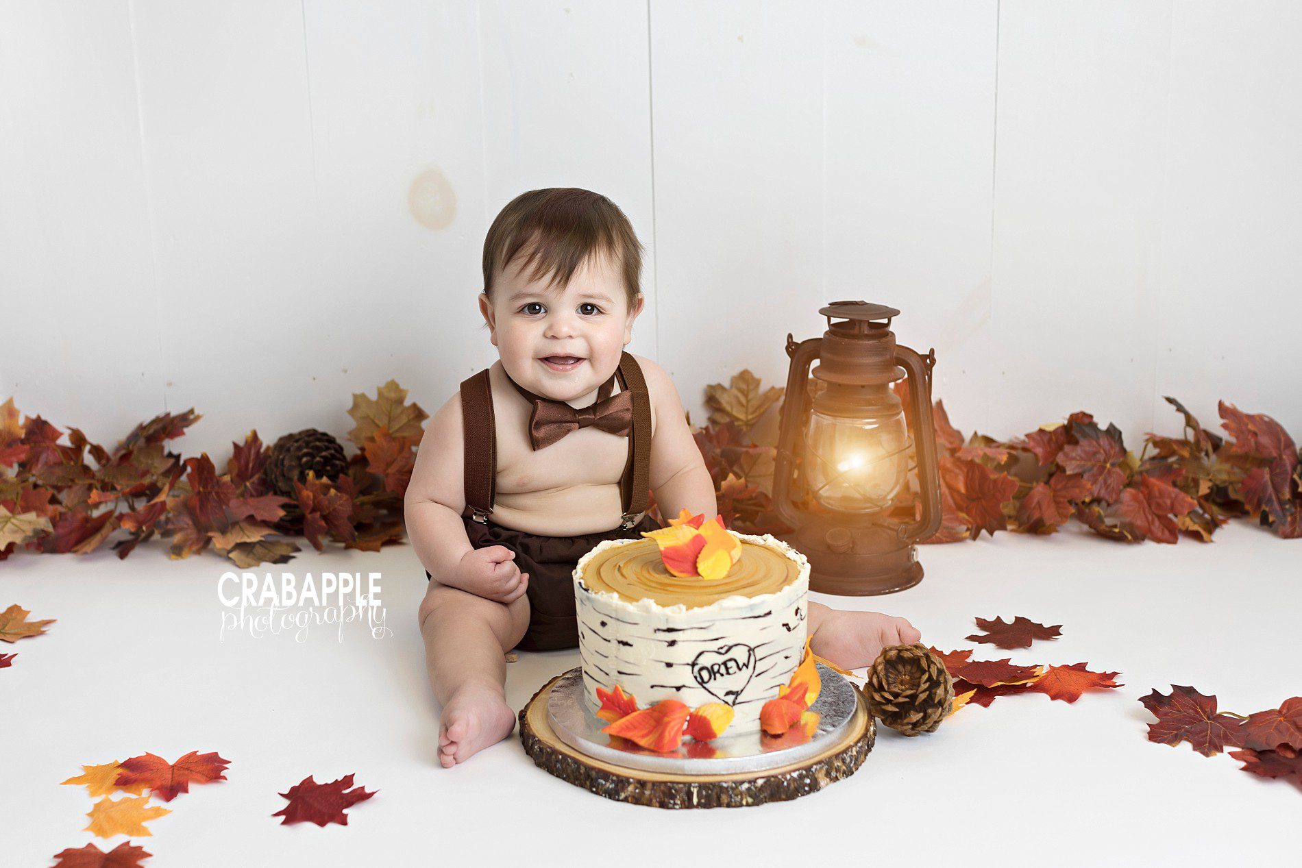 Fall themed cake smash photos using leaves, pinecones, and a tree themed cake.