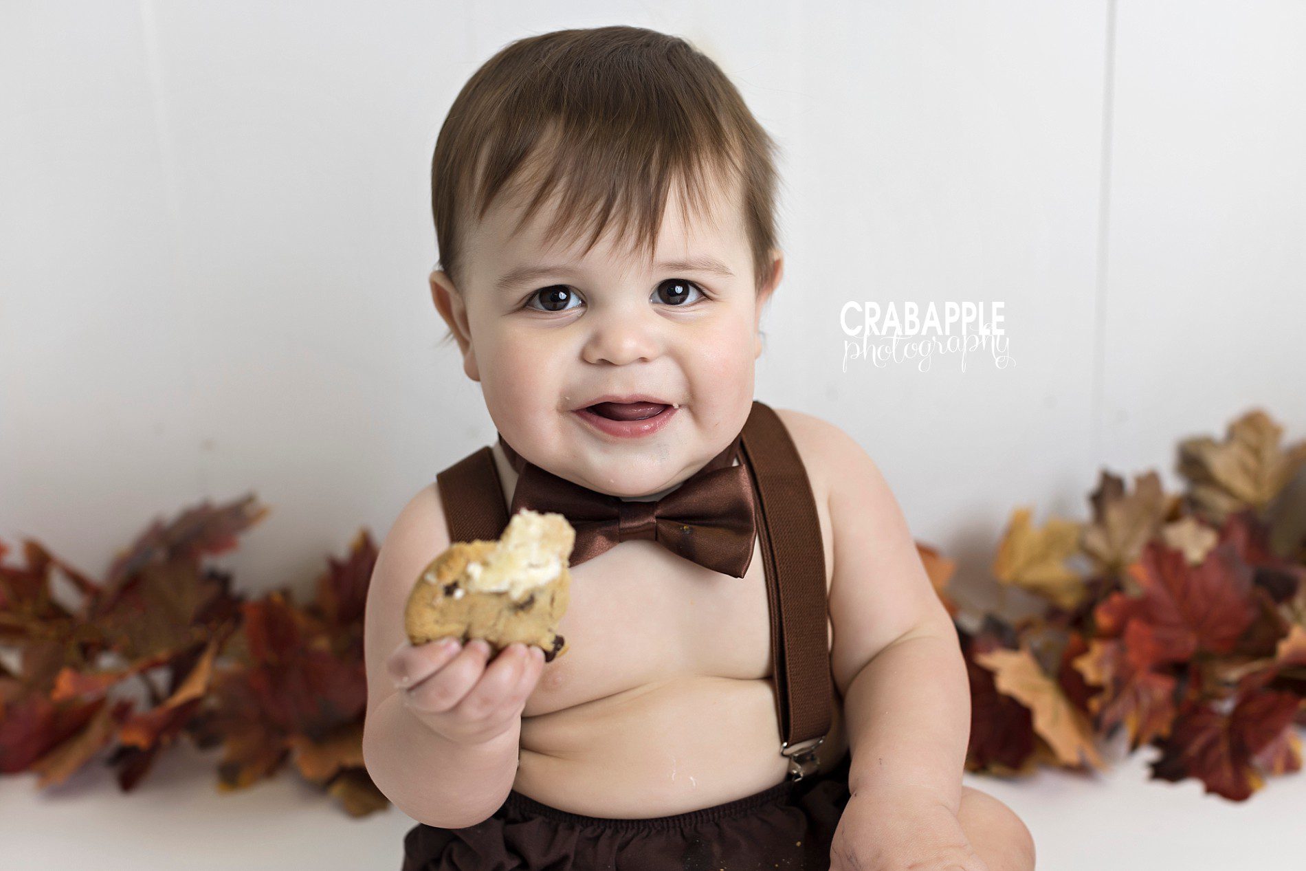 One year old portrait of a baby boy eating a cookie.