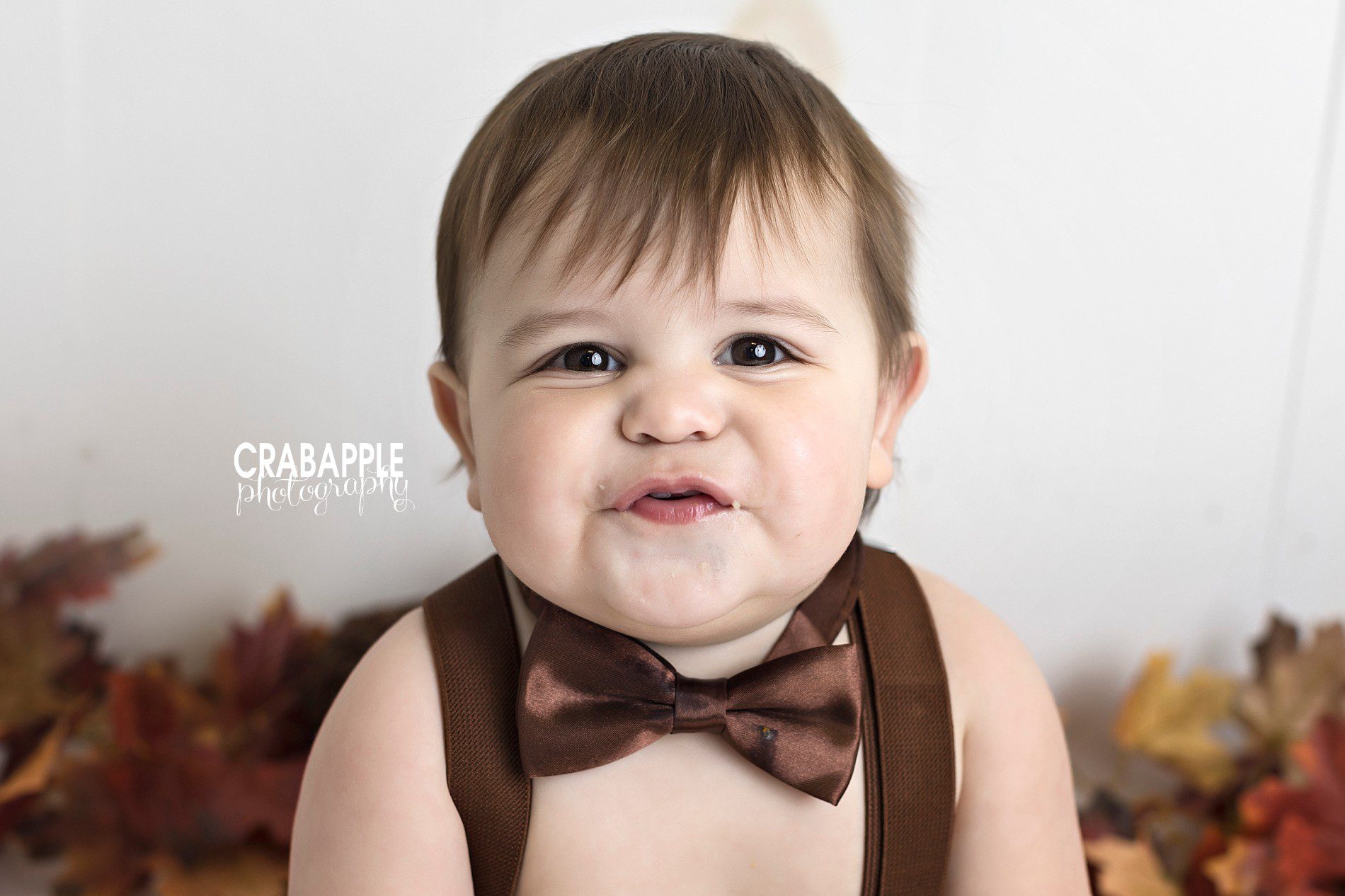 Baby Portrait of a 1 year old boy wearing a brown bowtie and suspenders.