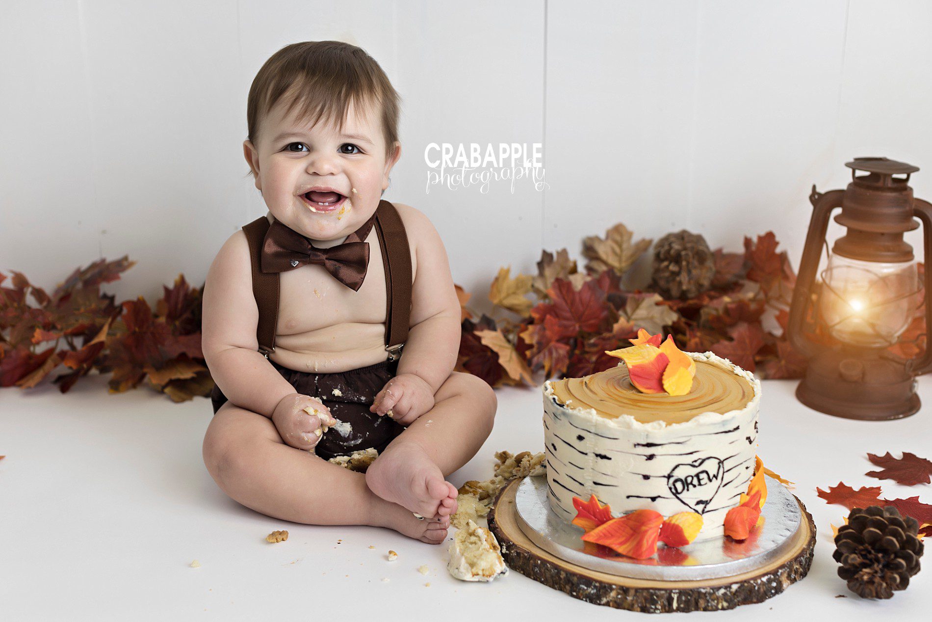 Autumn in New England themed first birthday cake smash photo session using brown and orange, leaves, pinecones, and a tree cake.