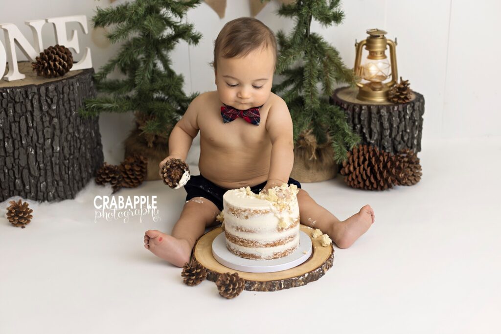 Cake smash photos using tree stumps, pine trees, and pinecones for a woodland feel.