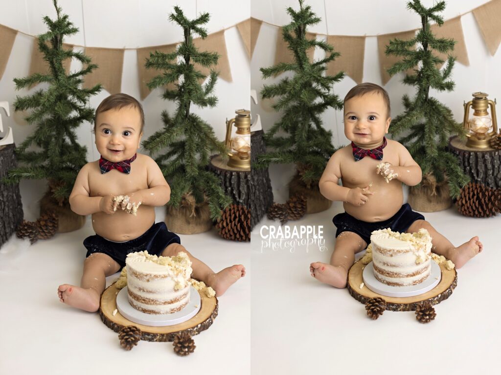 Cake smash portraits using tree stumps, pine trees, and pinecones for a woodland feel.