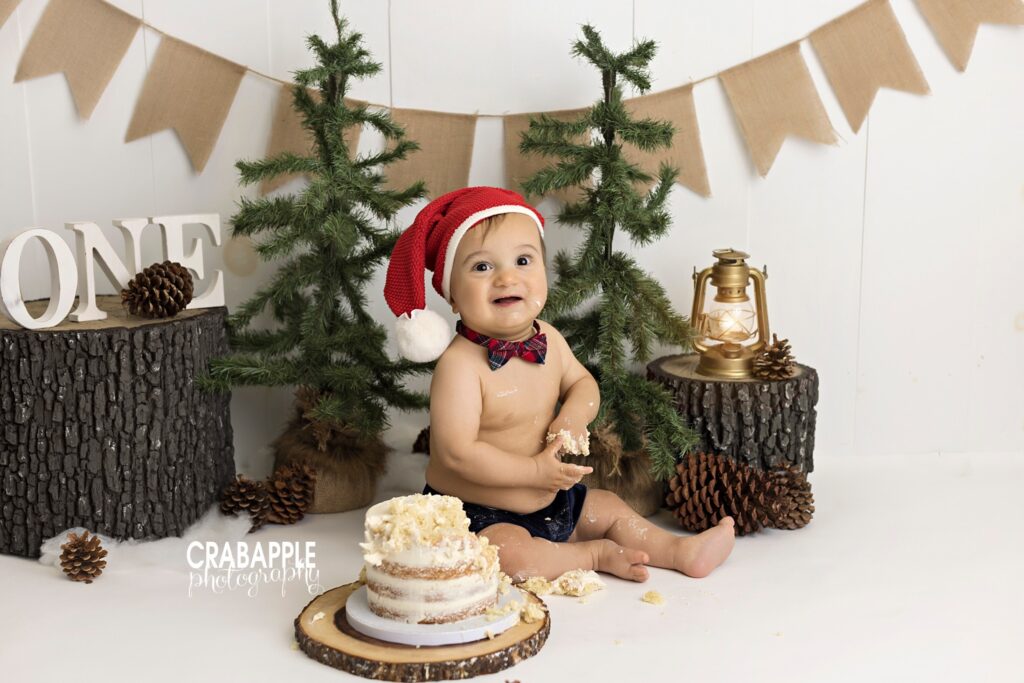 Woodland cake smash photo with tree stumps, pine trees, pinecones, and more props. Baby boy is wearing a tartan plaid bowtie and a Santa hat.