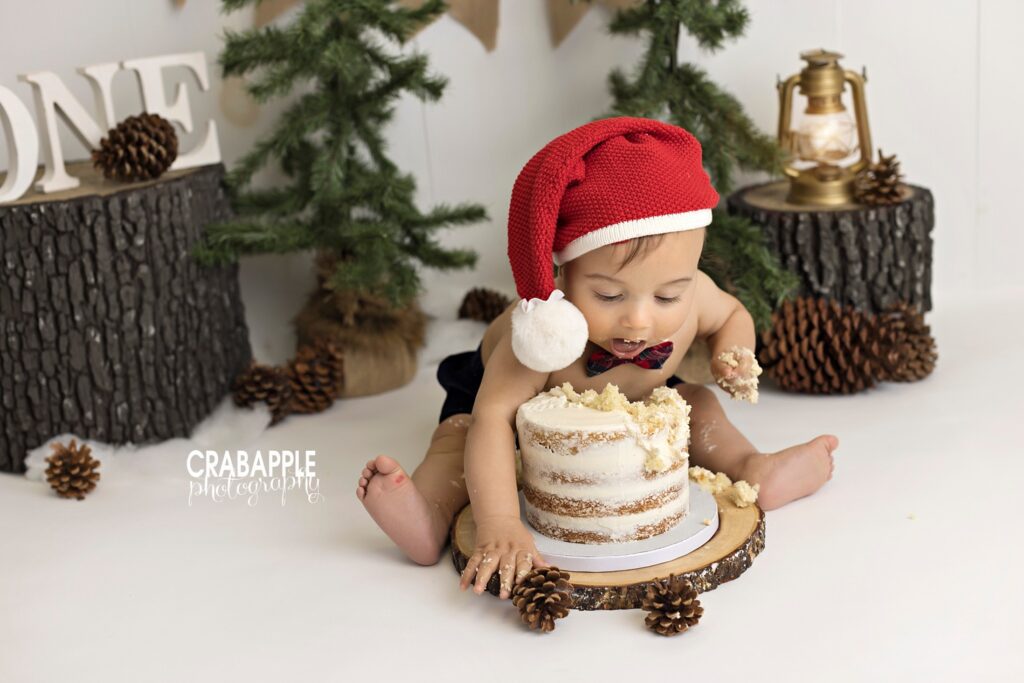 Winter and Christmas themed cake smash photos using tree stumps and pine trees. Baby wears a knit Santa hat.