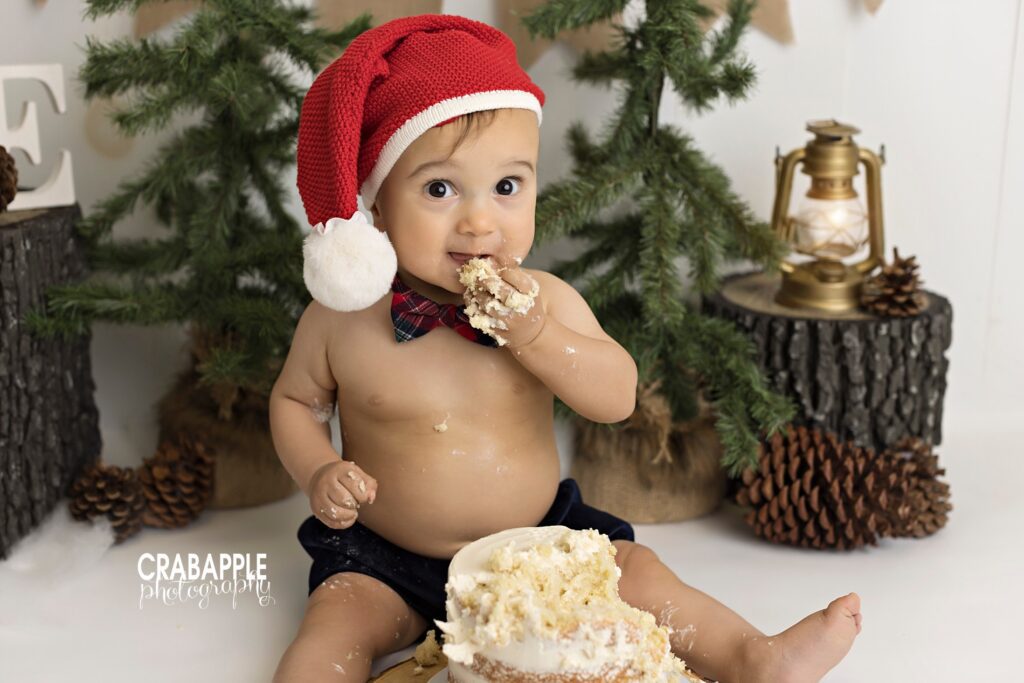 Winter and Christmas themed cake smash portraits using tree stumps and pine trees. Baby wears a knit Santa hat.