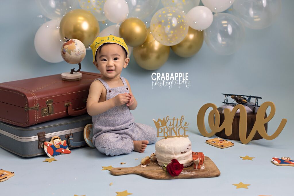 Little Prince themed first birthday cake smash photos