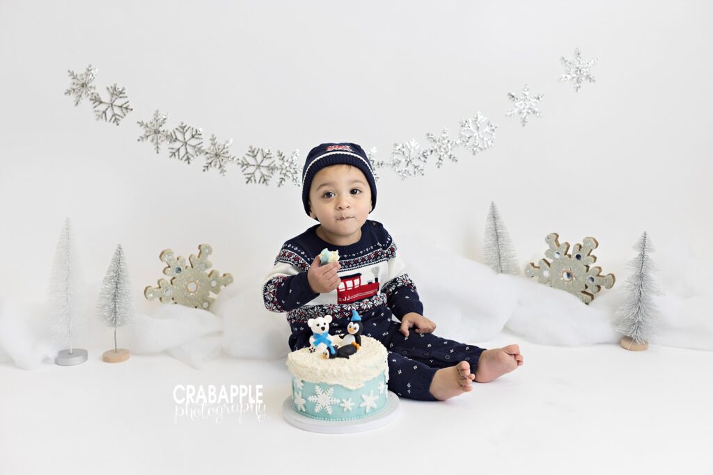 Set design ideas for winter and snow themed cake smash