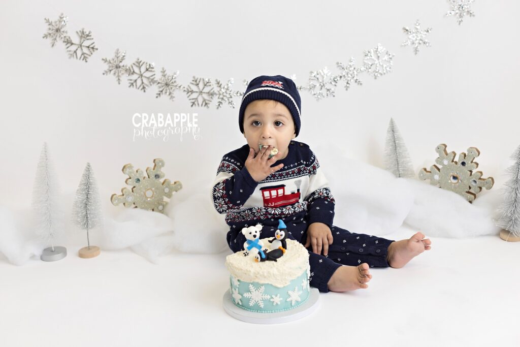Ideas for snow themed cake smash session photography