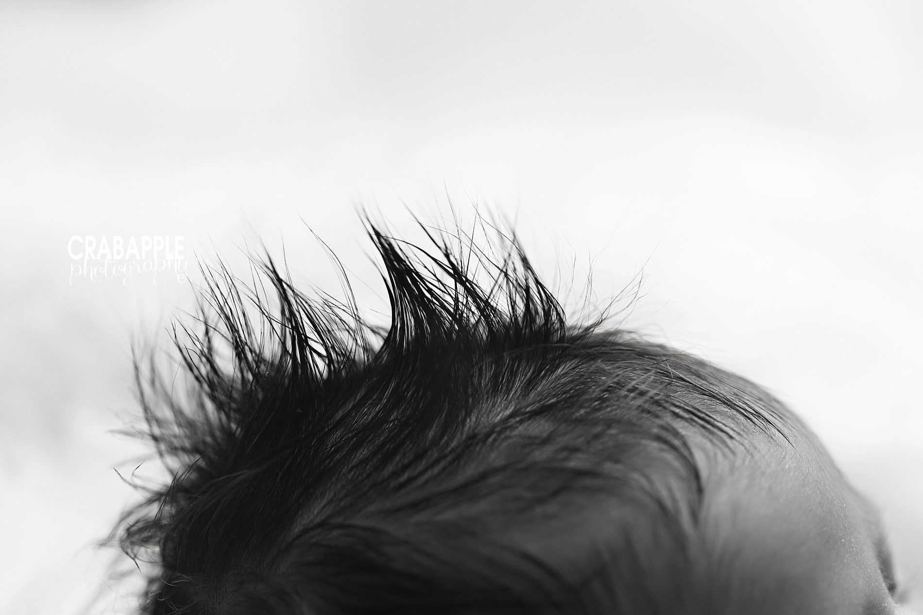 creative newborn portraits detail close up hair