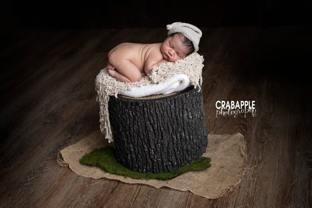 tree stump newborn portrait prop, ideas for creative and whimsical photos