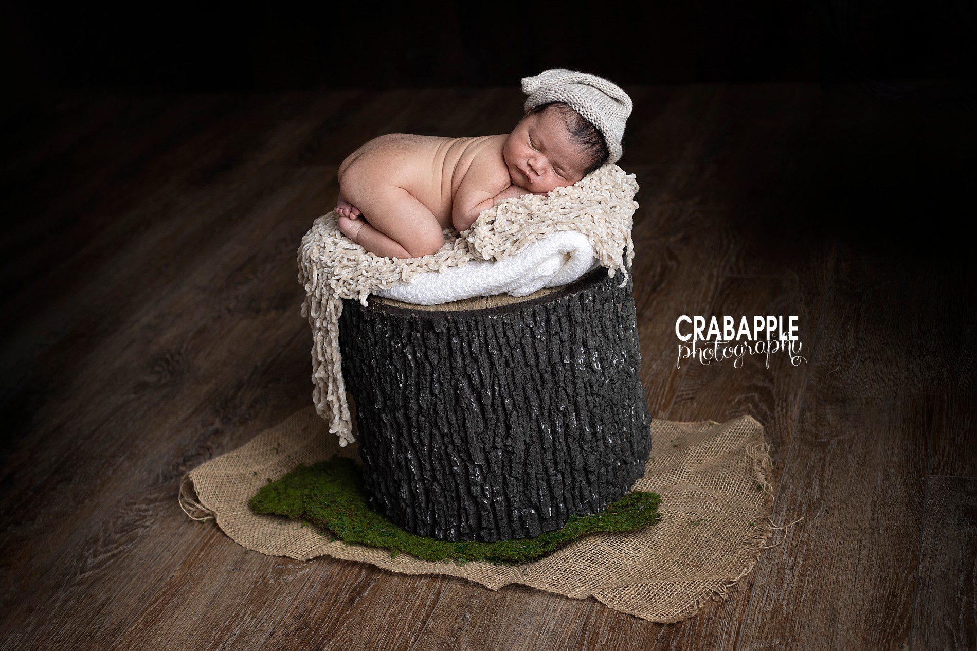 whimsical woodland newborn photos with faux tree stump