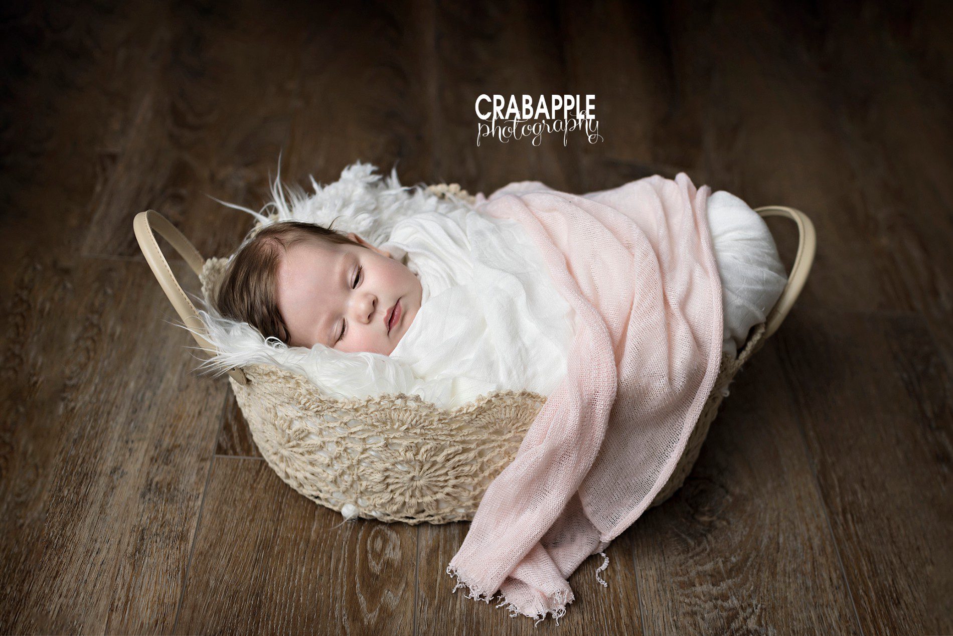Swaddled baby photos 6 months old
