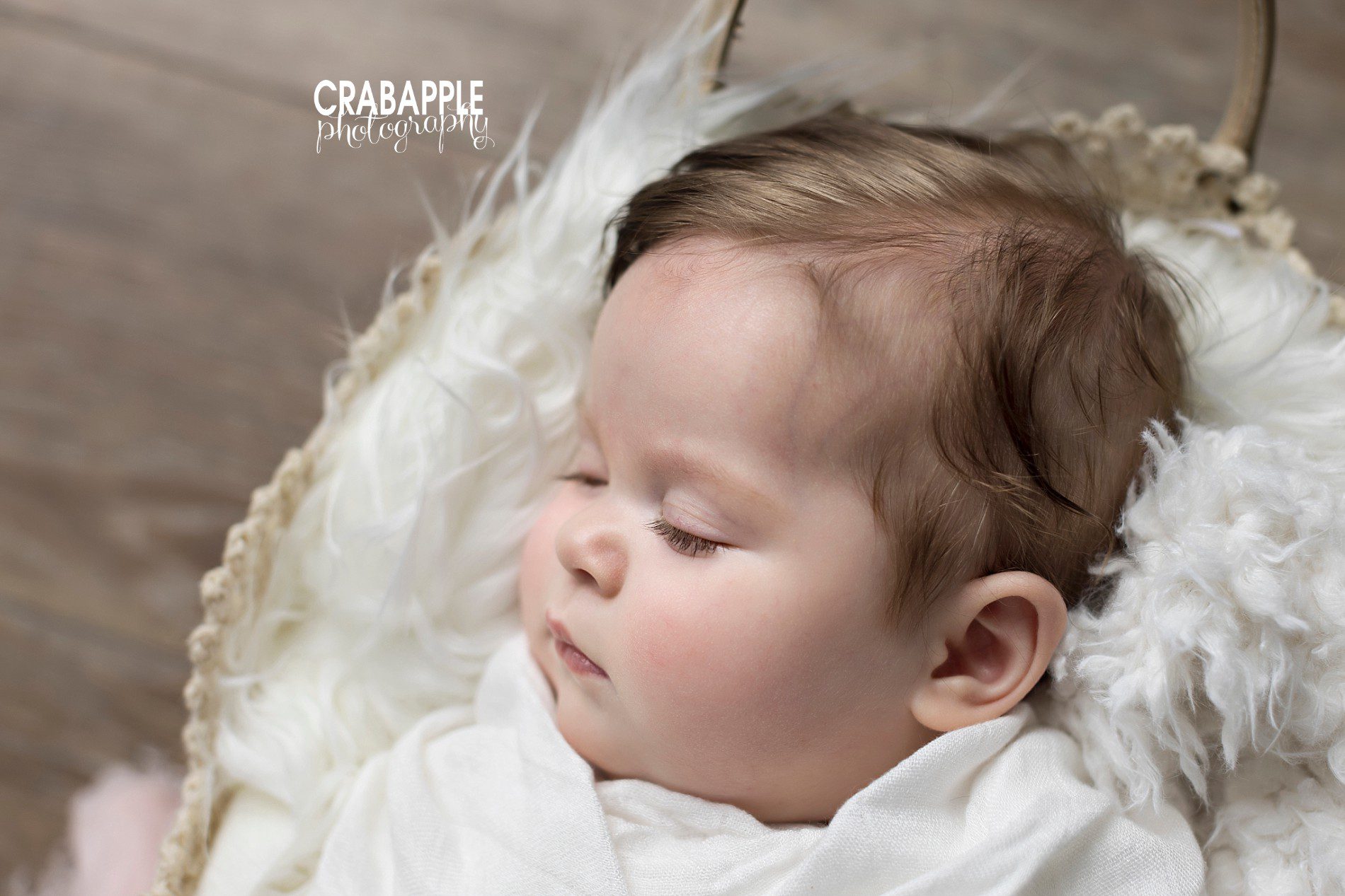 professional portrait photography for babies 6 month old