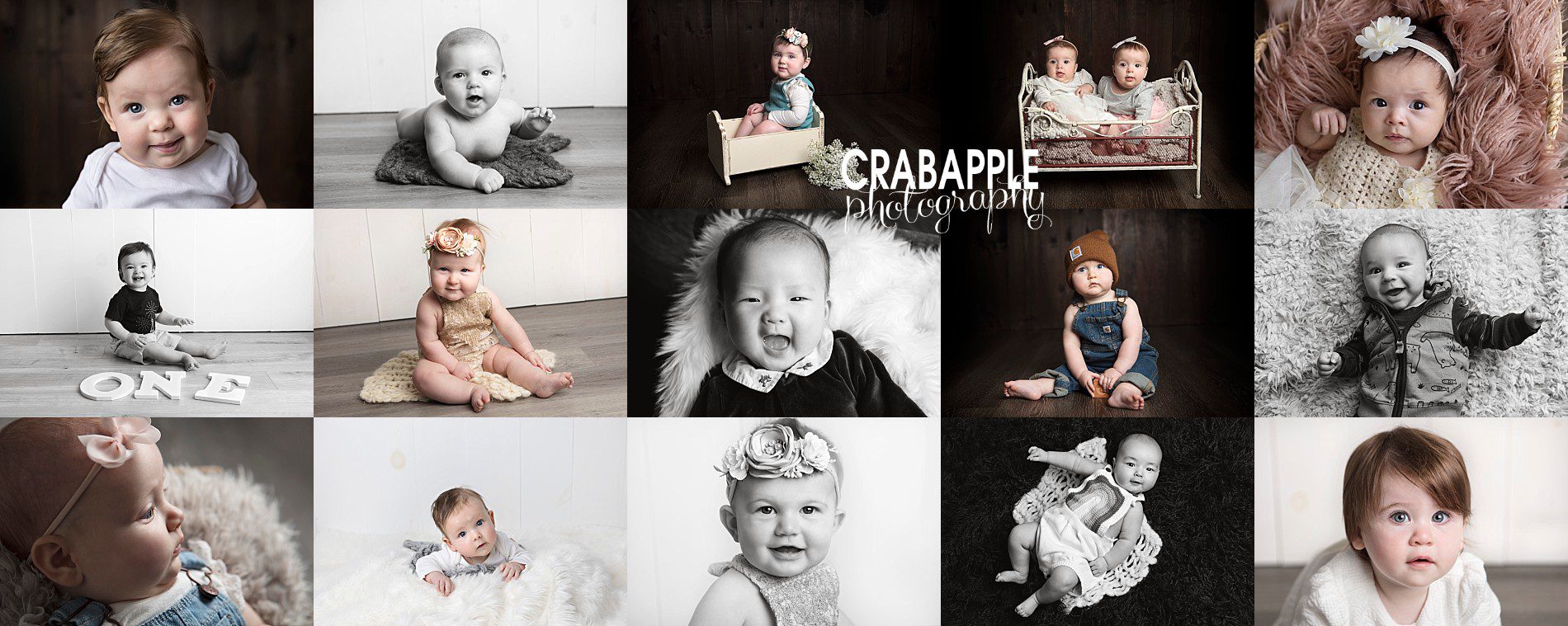 milestone baby portraits andover ma photographer