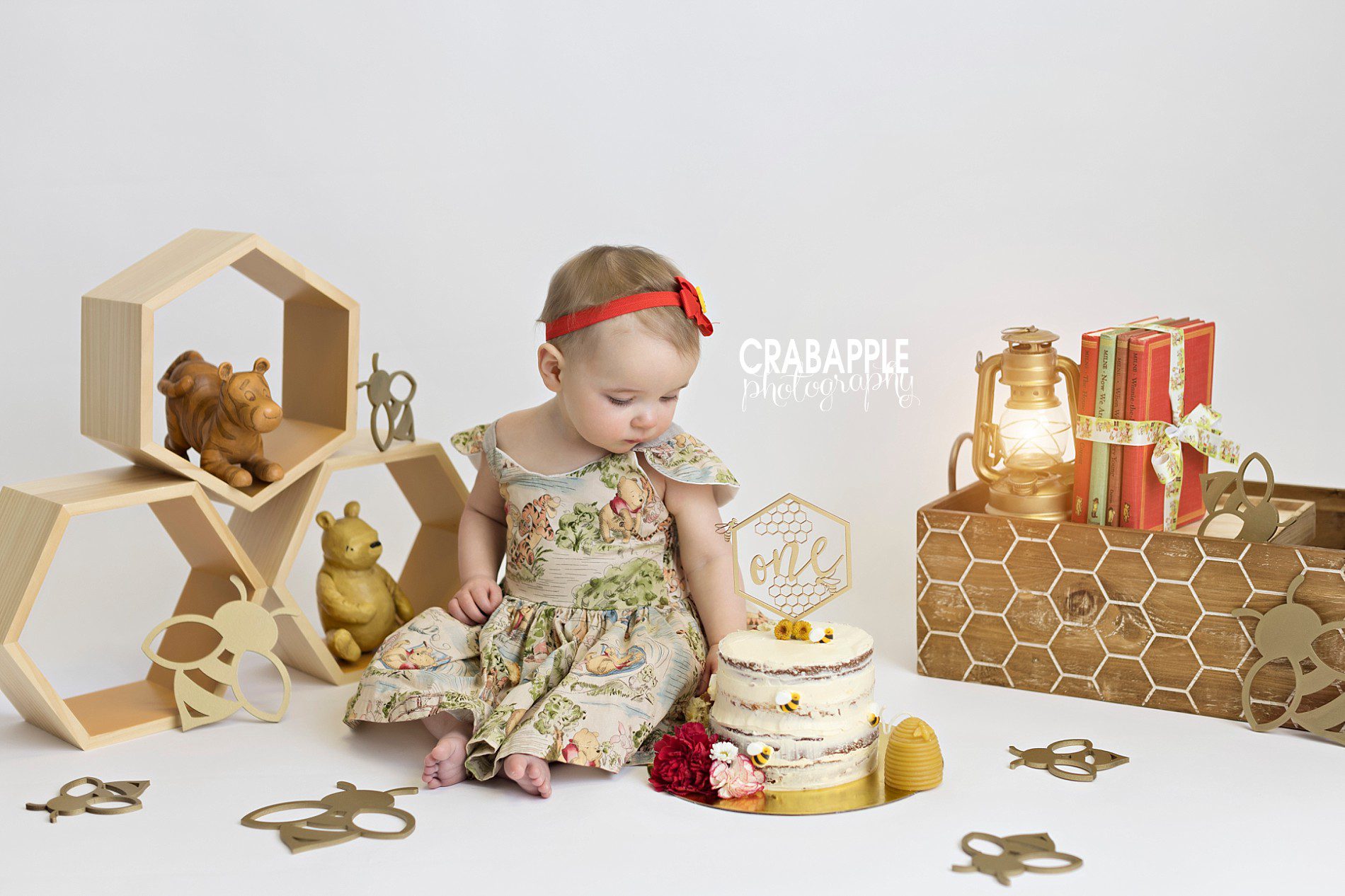 https://crabapplephotography.com/2023/05/05/vintage-winnie-the-pooh-cake-smash/
