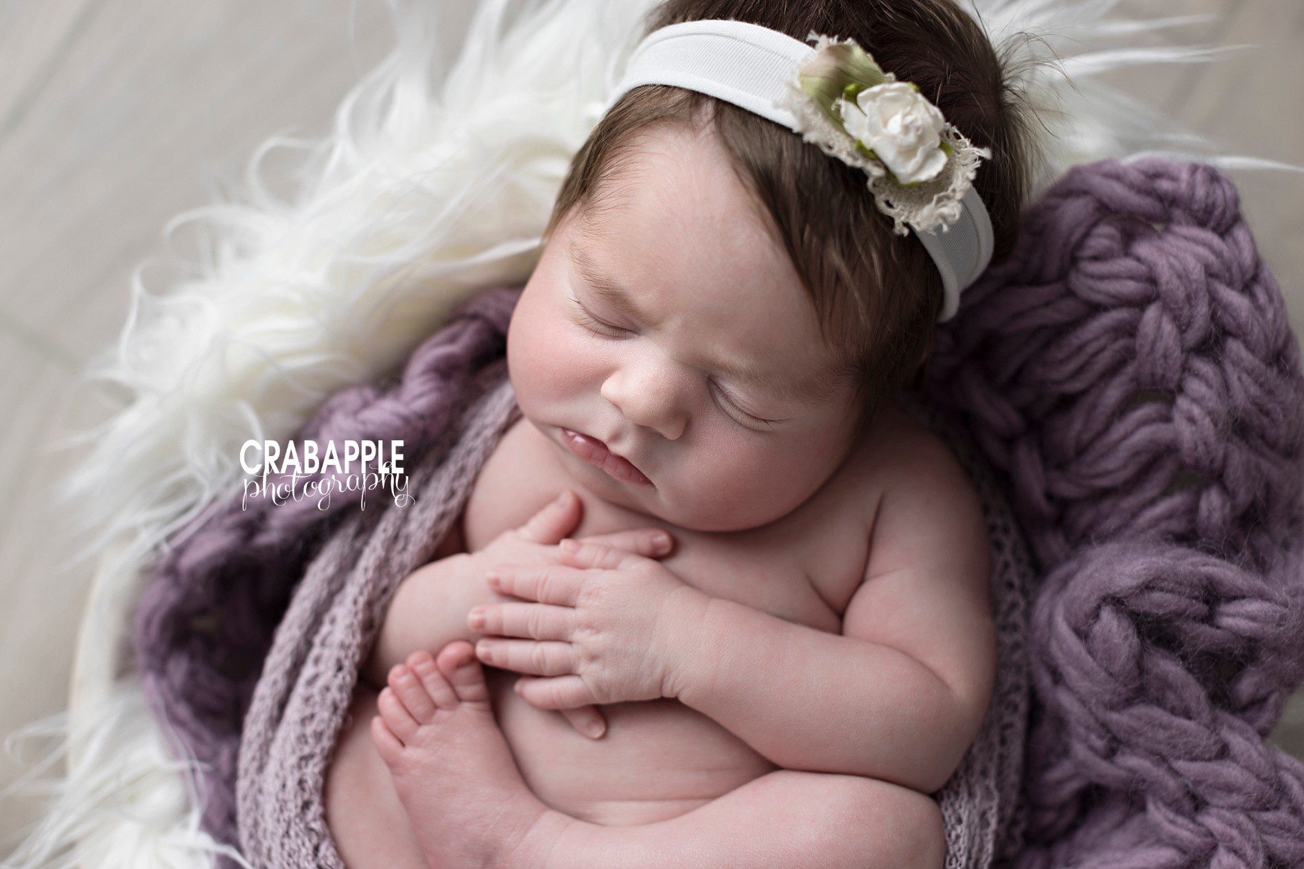 purple baby girl newborn portrait inspiration