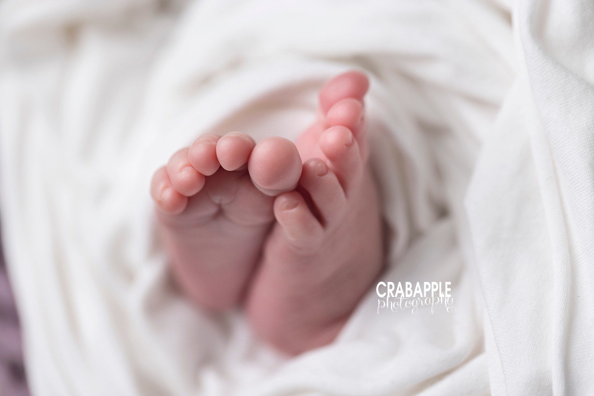 close up detail photos of newborn feet