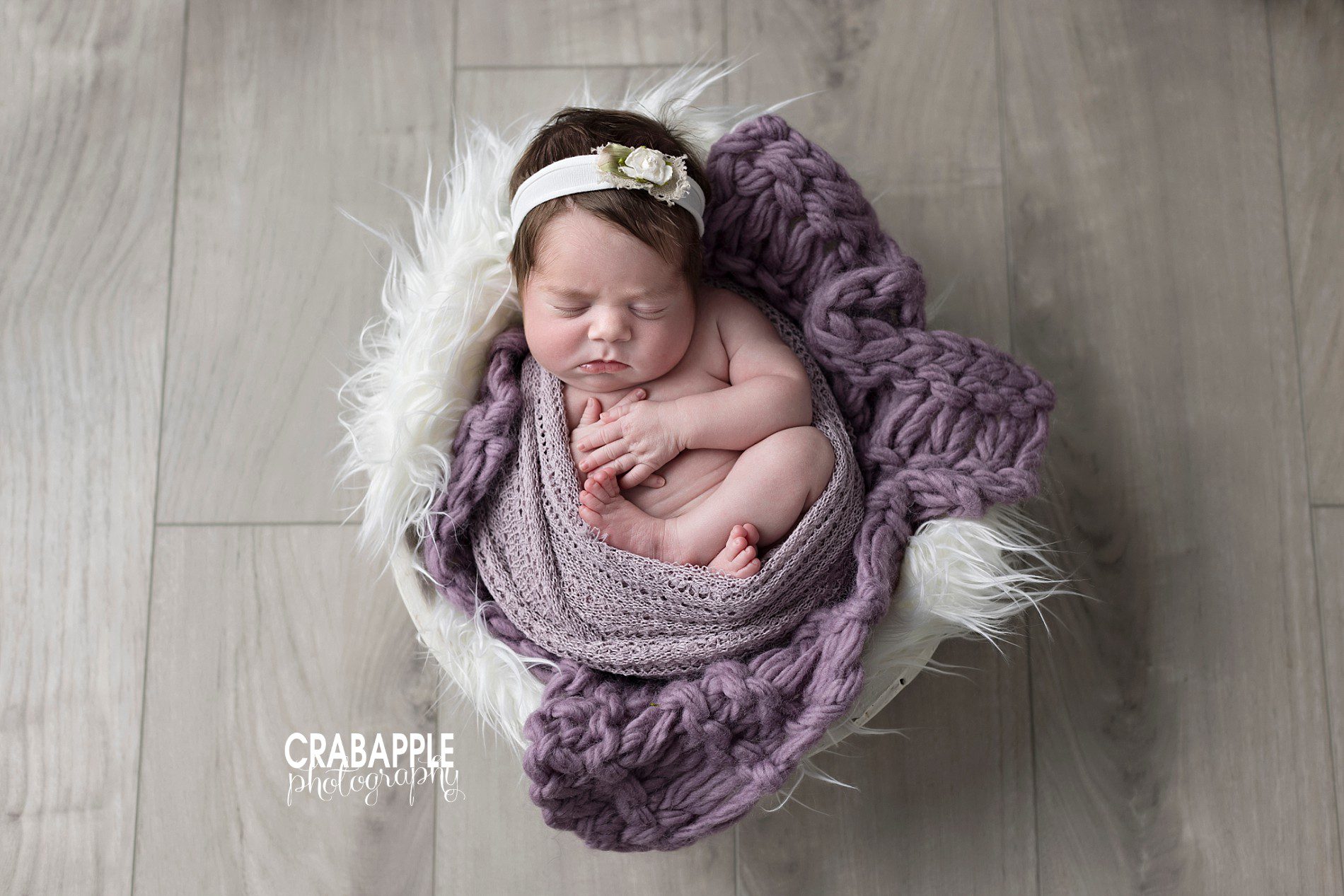 purple newborn pictures for girls
