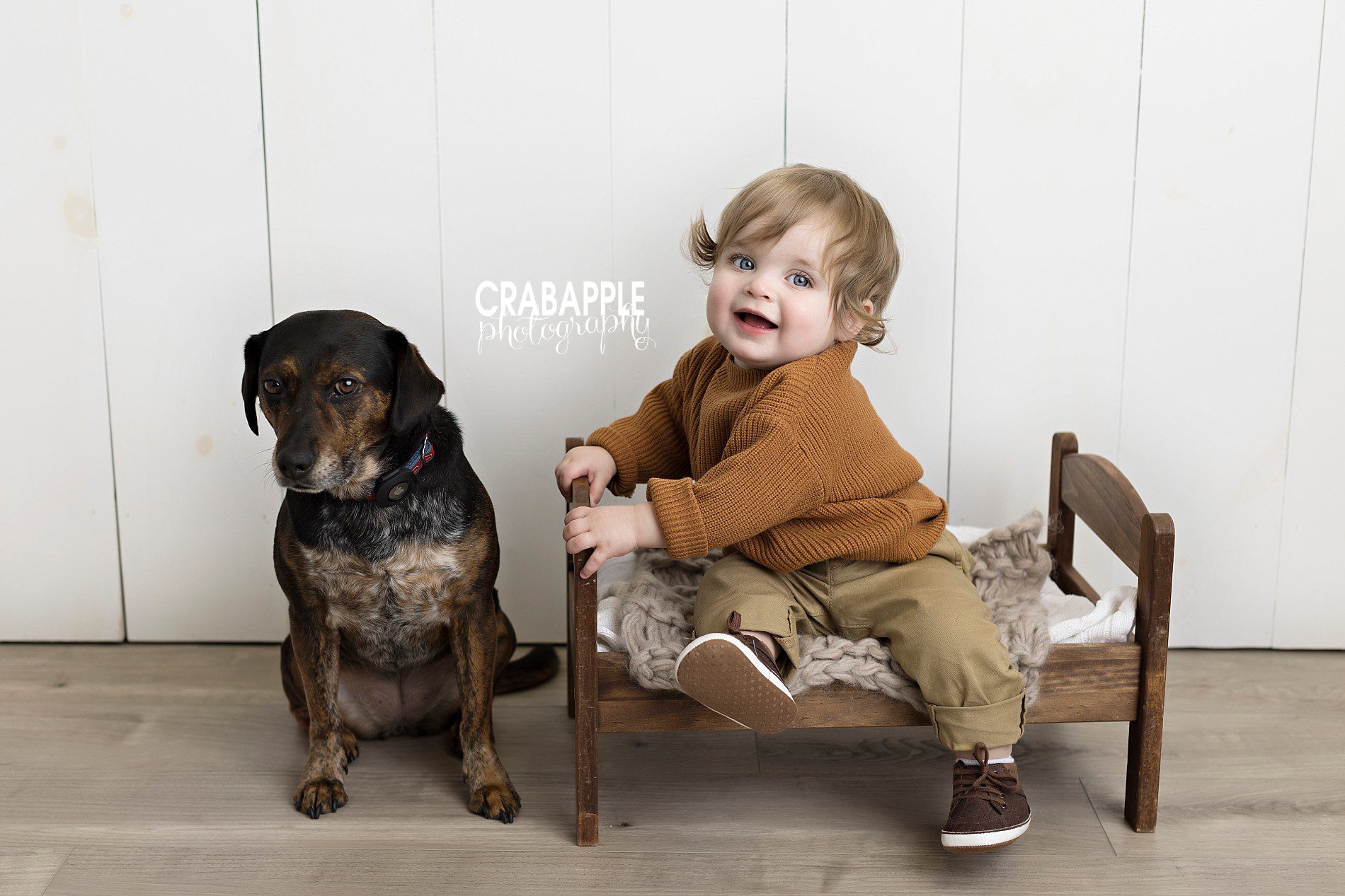 baby photo ideas with pet dog