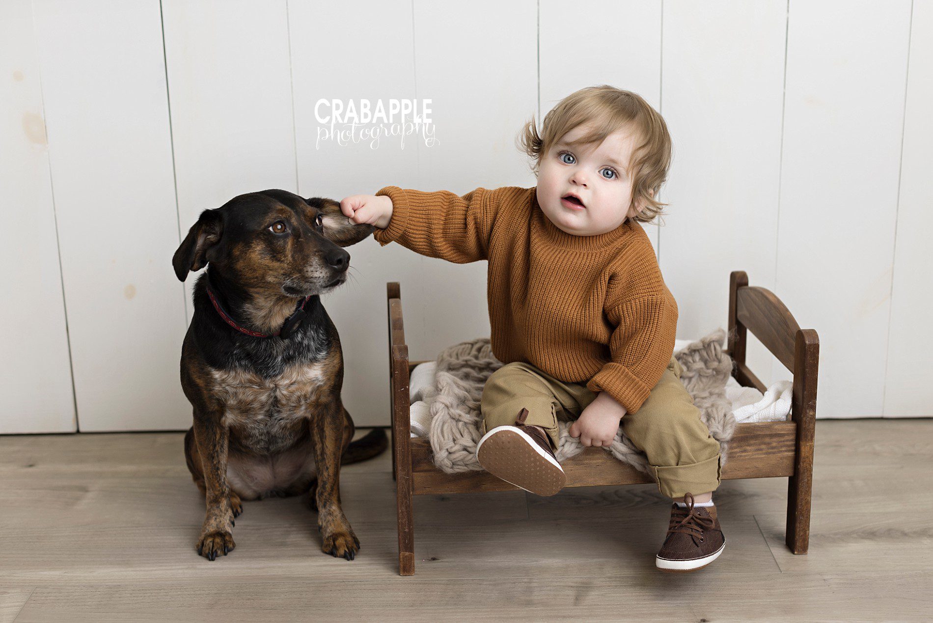 including pet dog in baby and toddler photos 