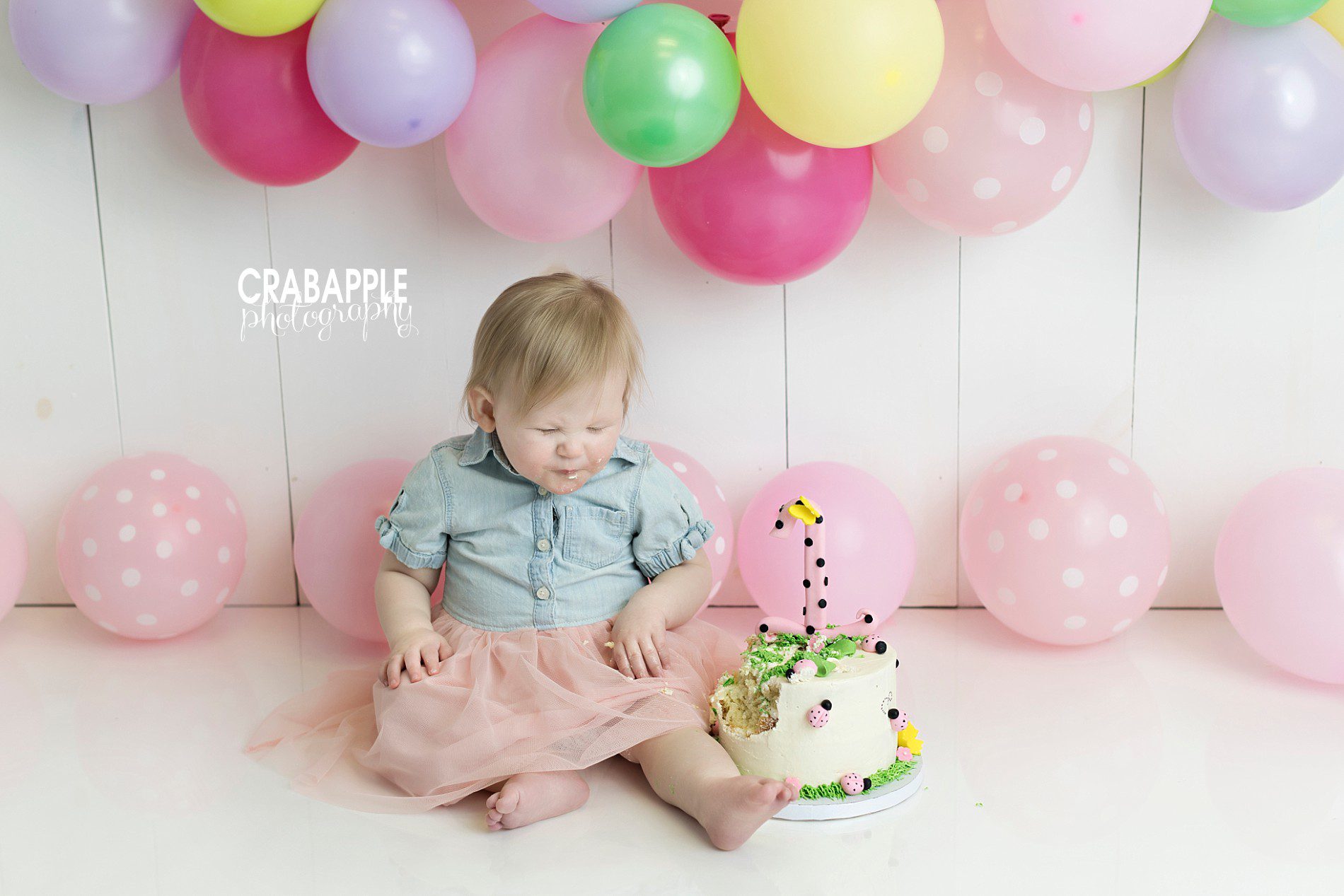 cake smash portraits with bright colors