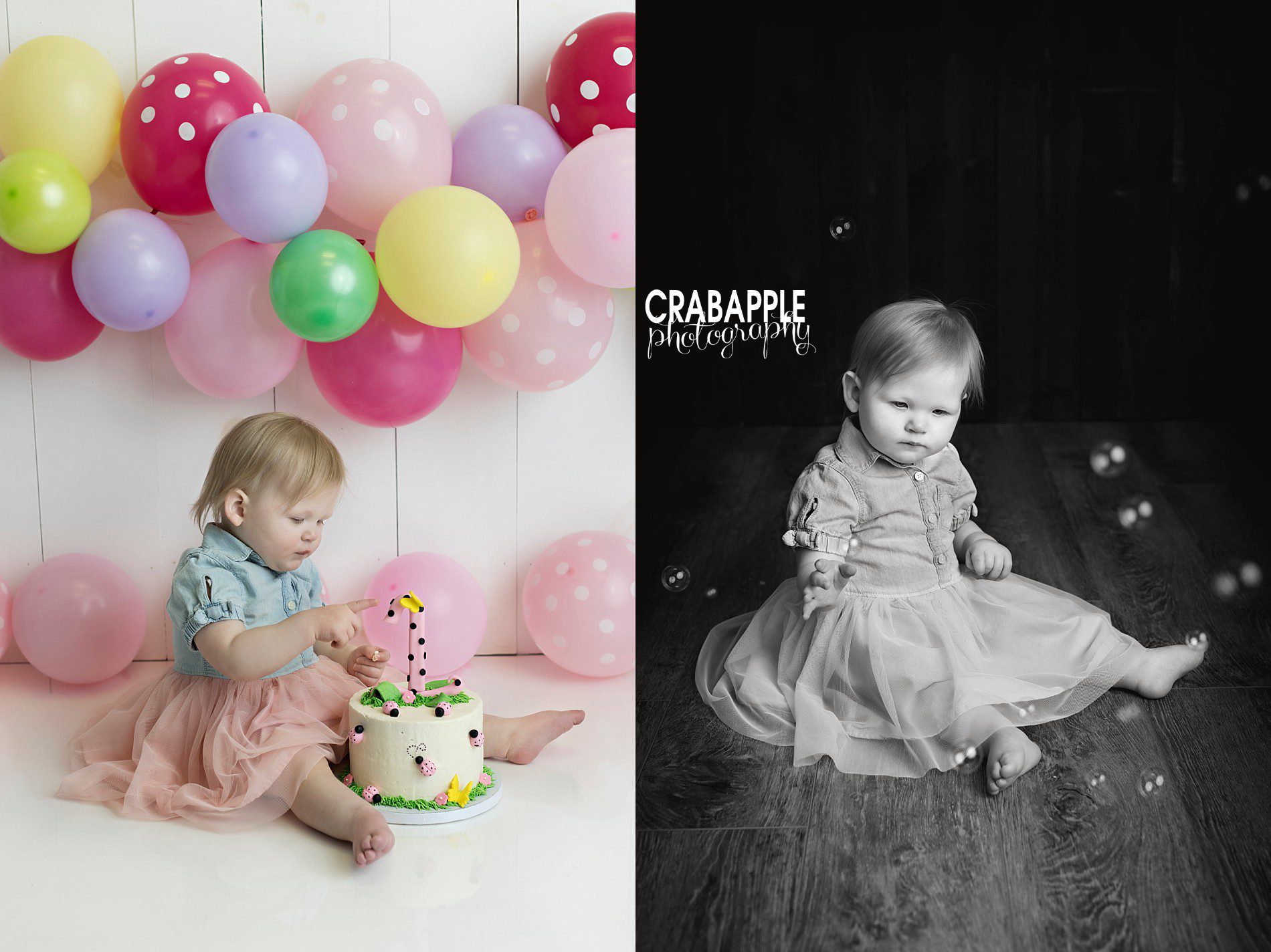first birthday and cake smash photography