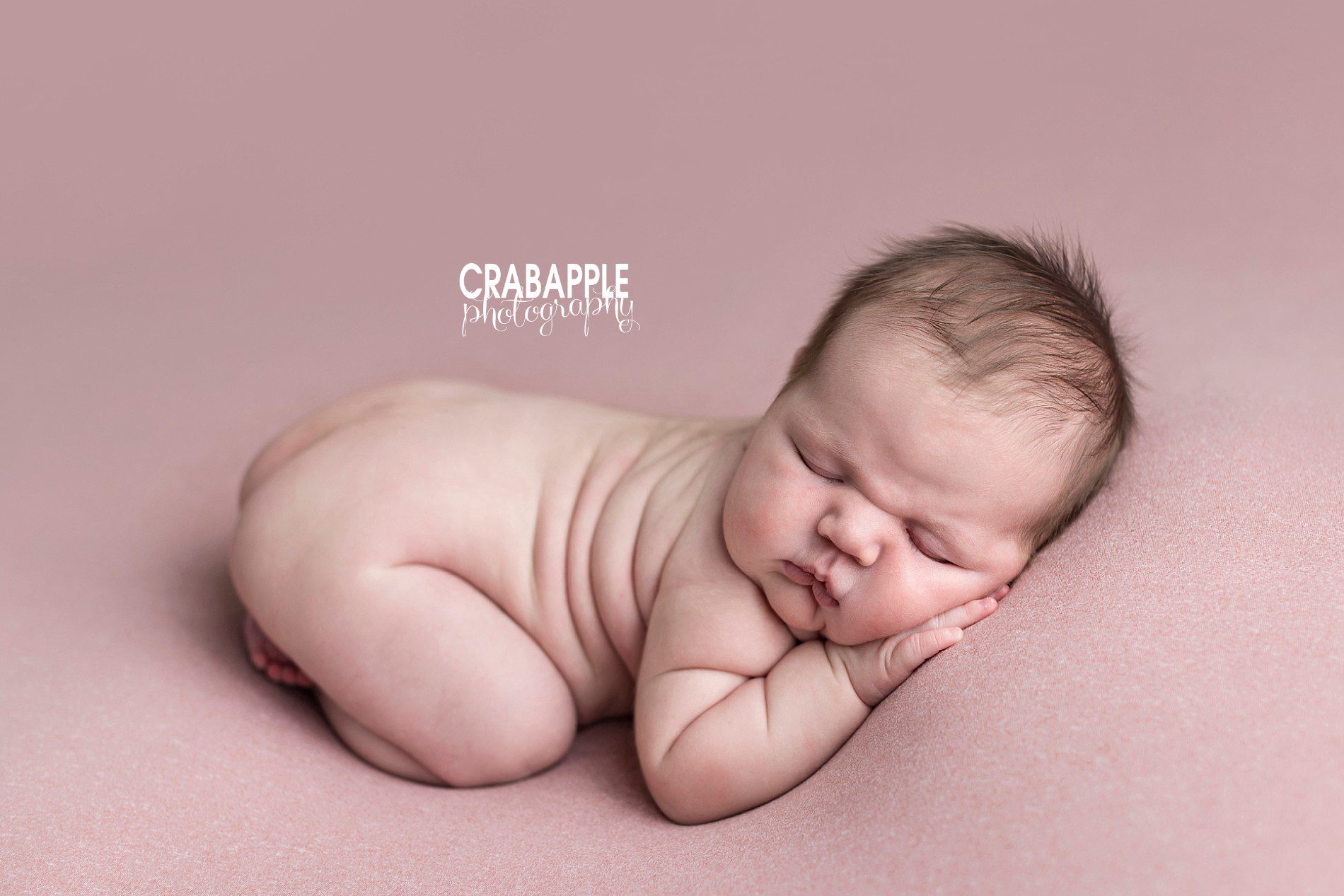 simple newborn photos using pink