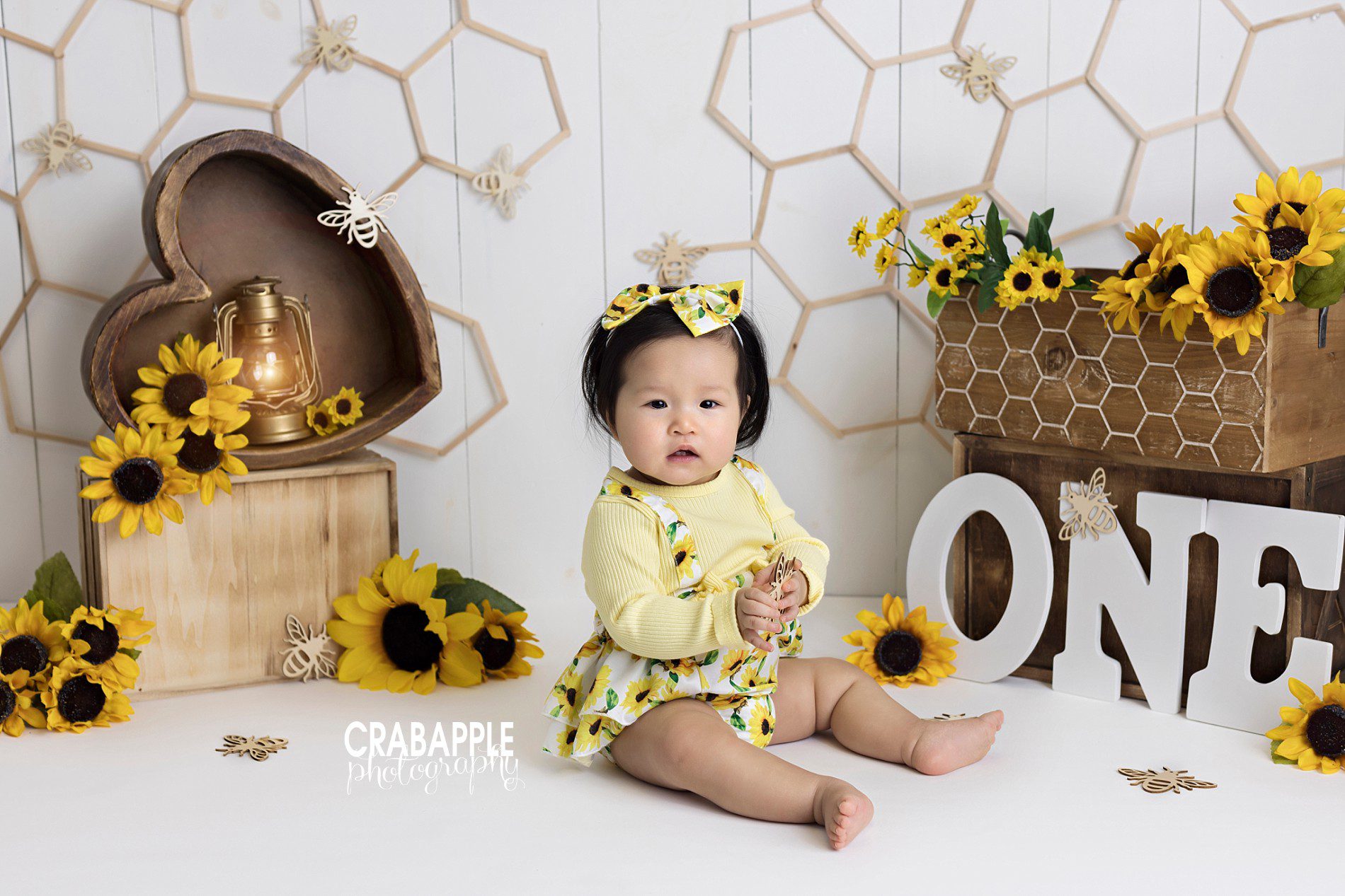 sunflower and bee themed baby photos