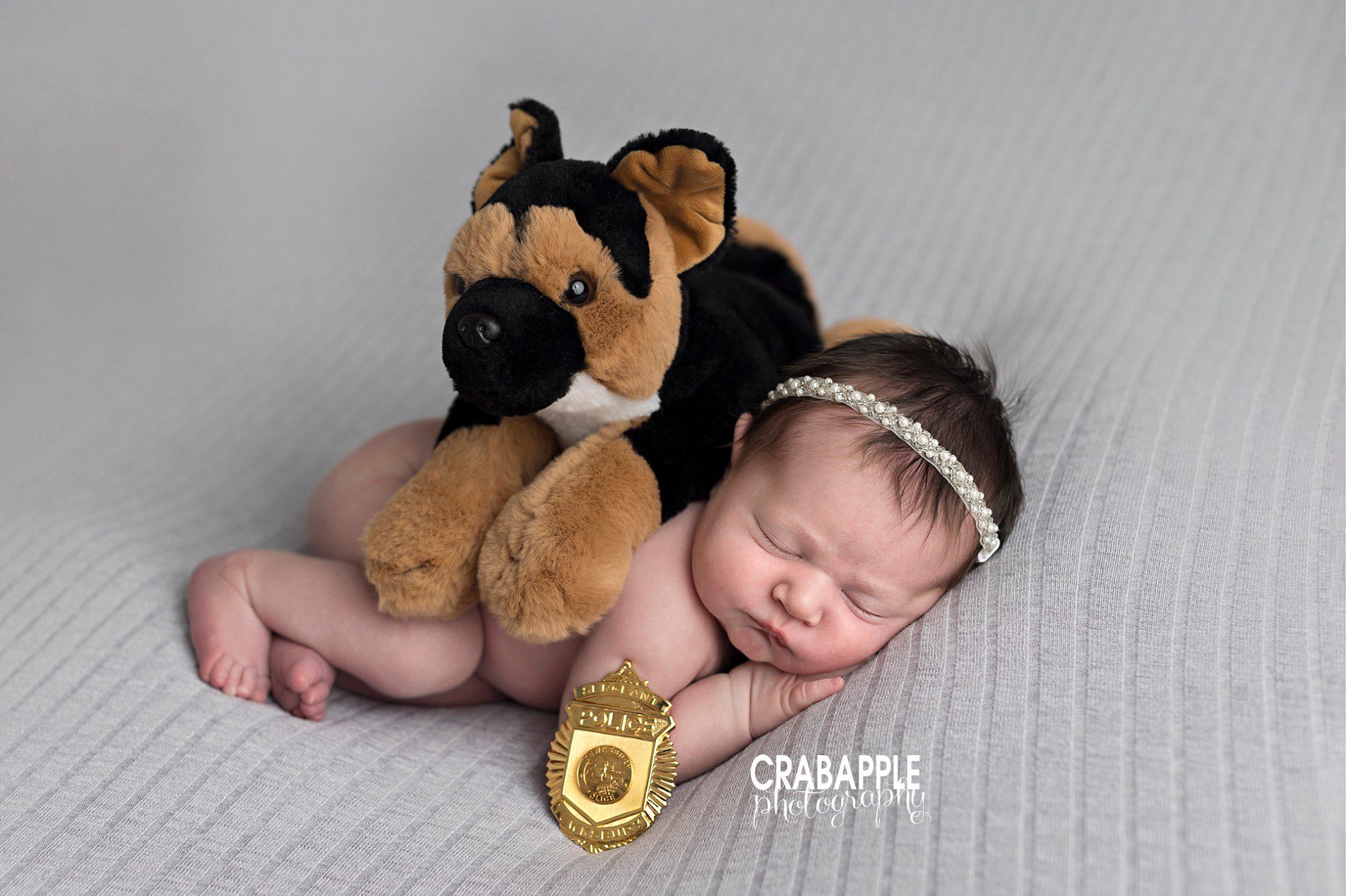 canine k-9 newborn photos