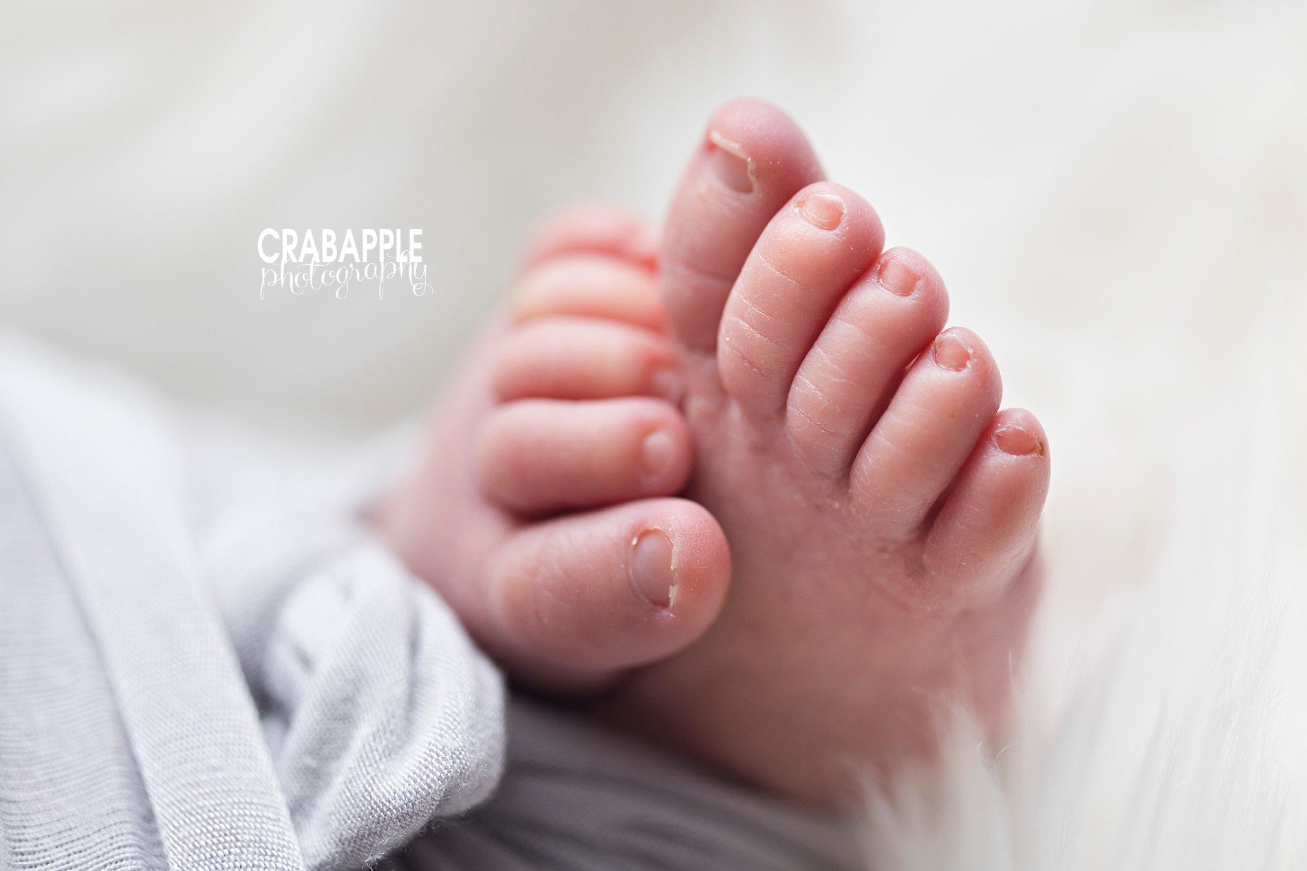 newborn toes photos