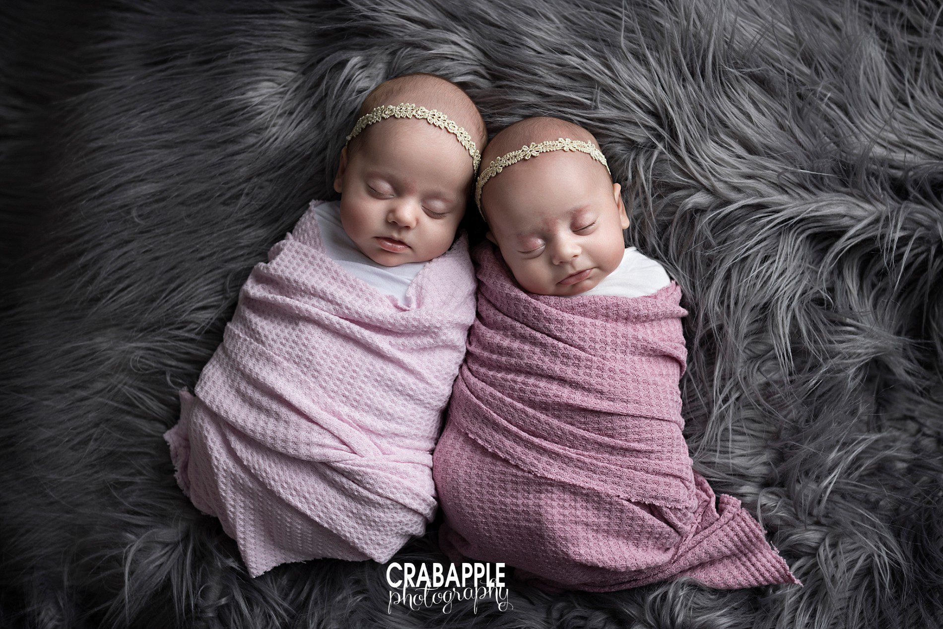 twin infant photos