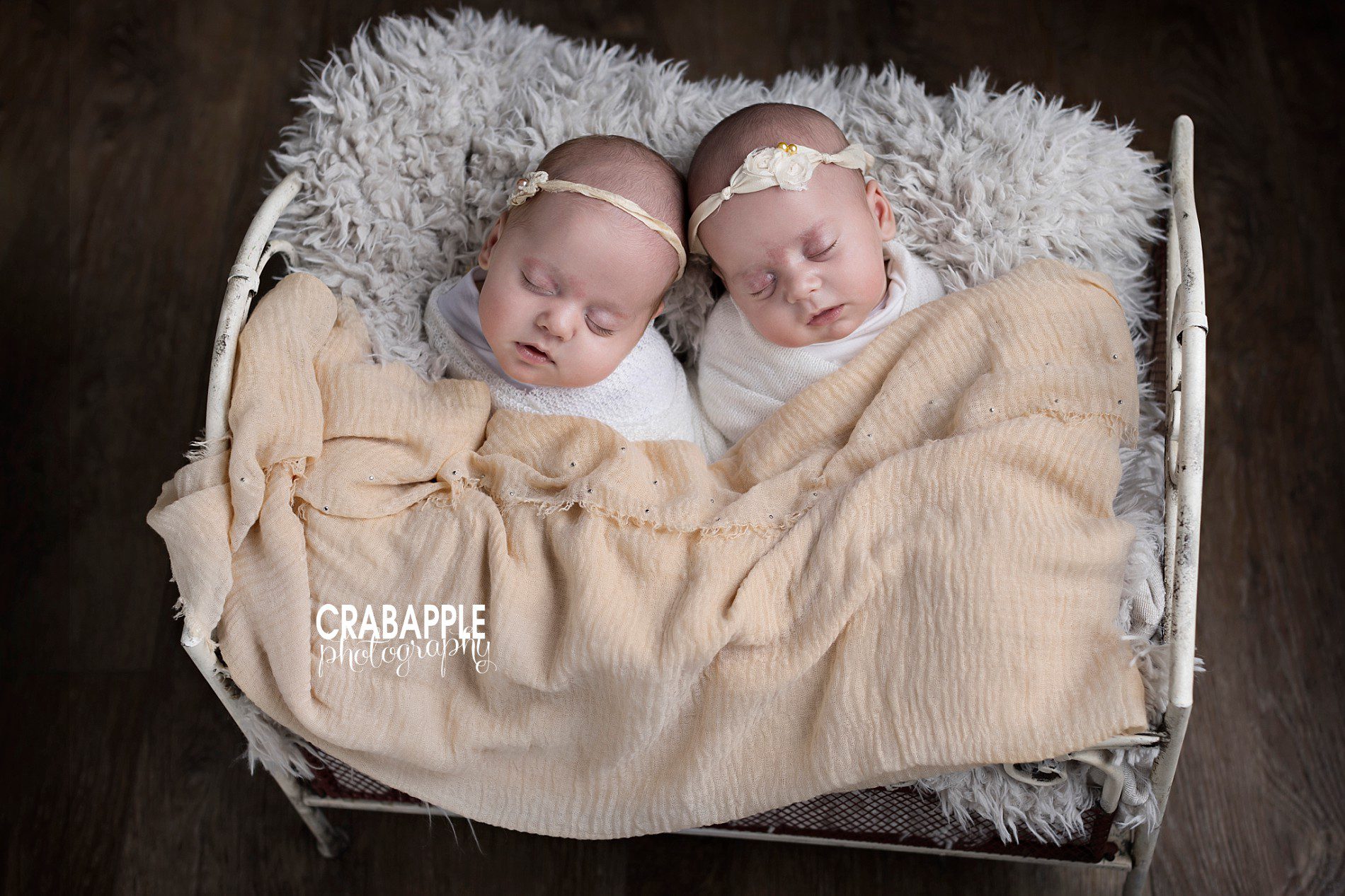 twin newborn photos idea for poses